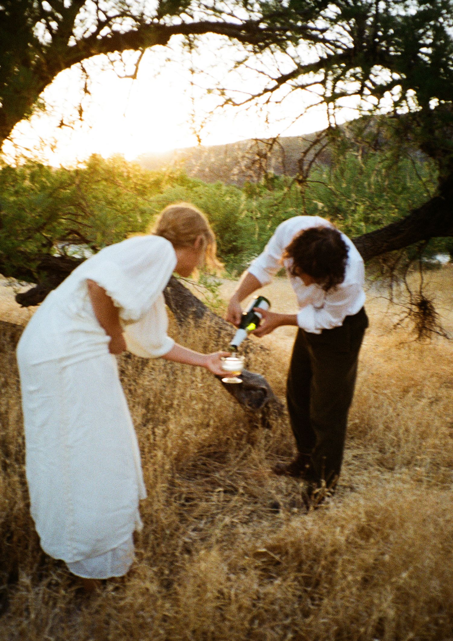 A couple in wedding attire pours drinks together at sunset under a tree branch.