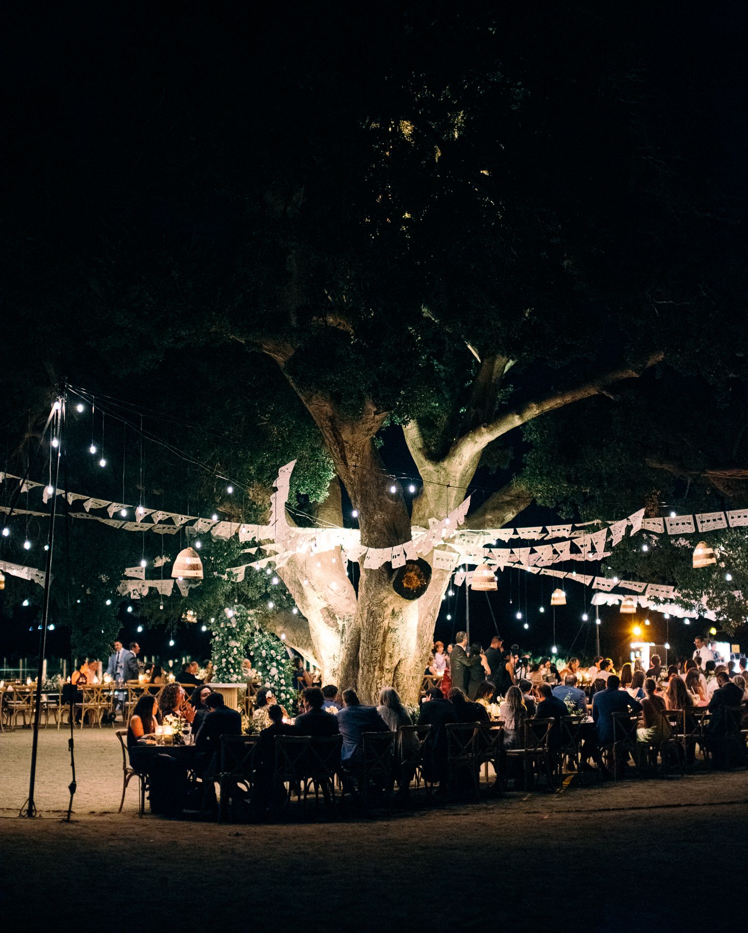 Guests dine under twinkling lights surrounding a majestic illuminated tree at an evening reception.