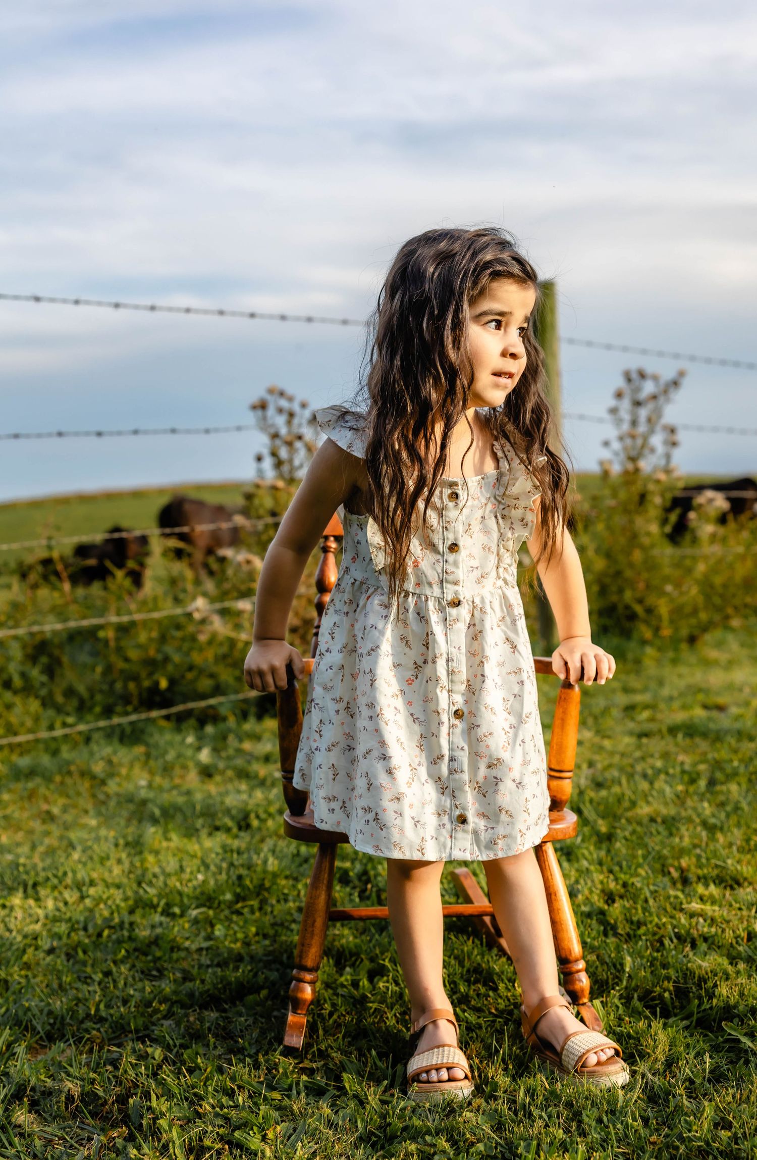 A child in a floral dress sits on a wooden chair in a sunny countryside setting with grazing cattle.