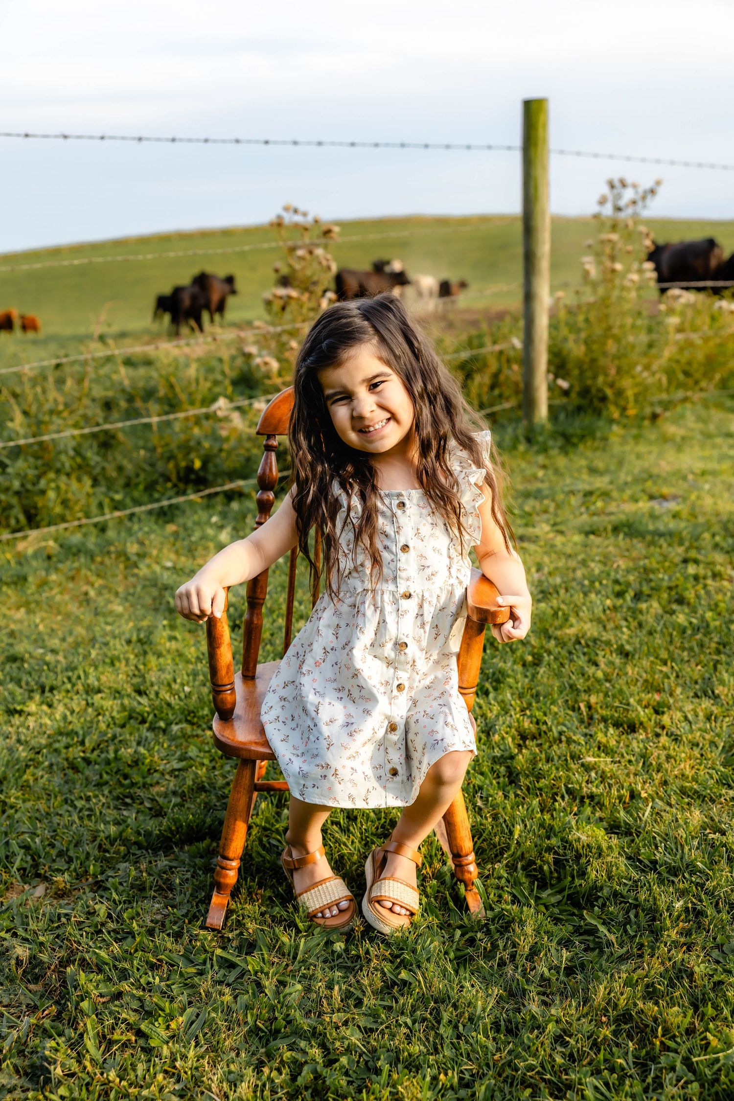 Sun-drenched portrait session outdoors with a rustic chair and cattle grazing in the distance.