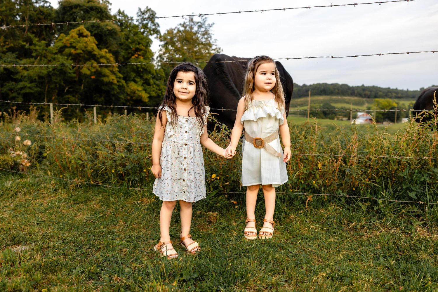 Two children holding hands while standing in a grassy field by a barbed wire fence.