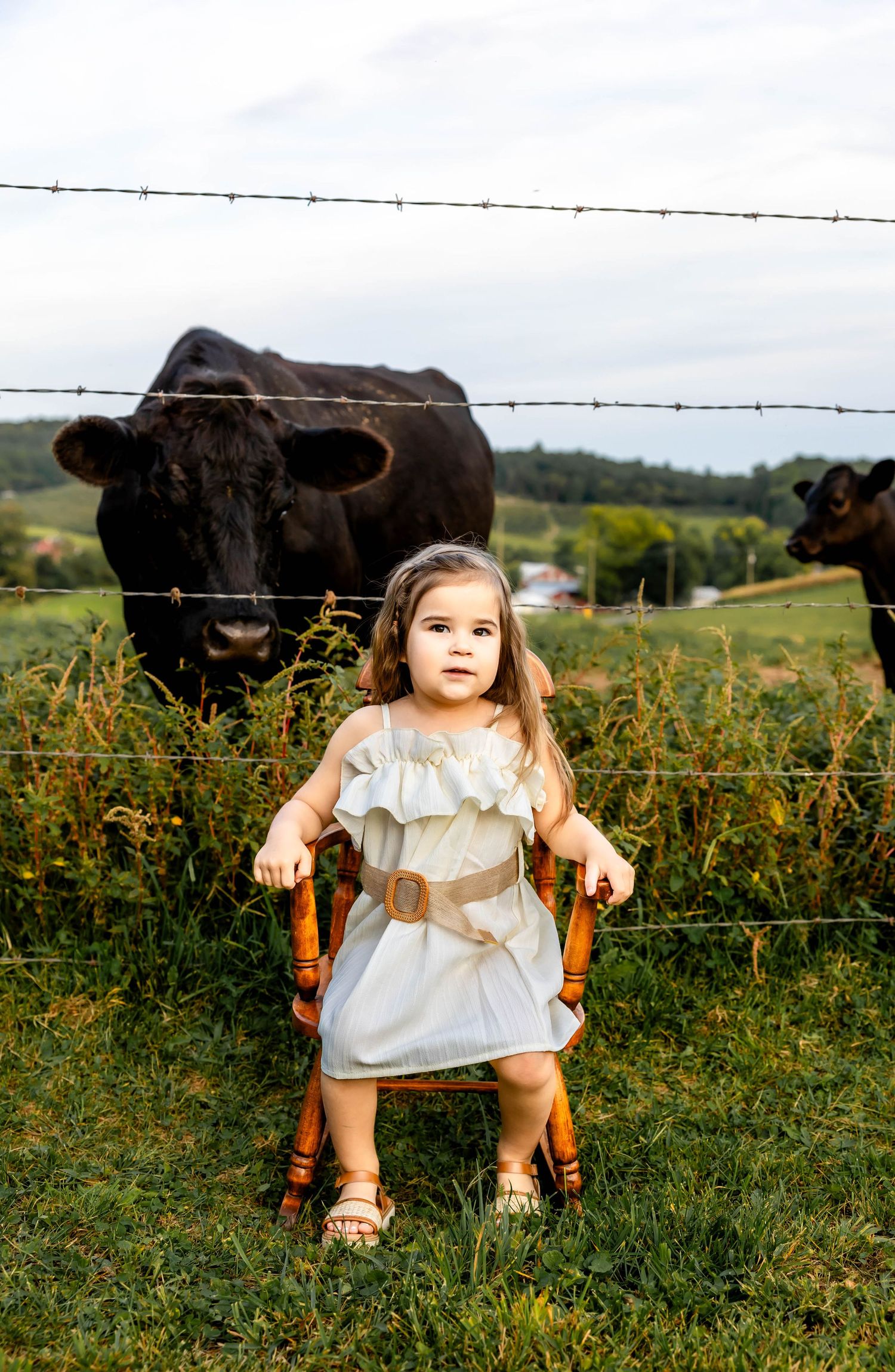 Child sitting in wooden chair near fence with large black cow peering through in background.