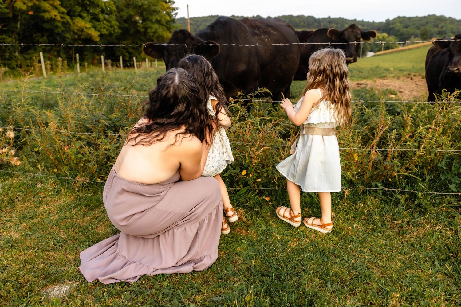 Family enjoying a moment together near grazing cattle on a countryside farm.