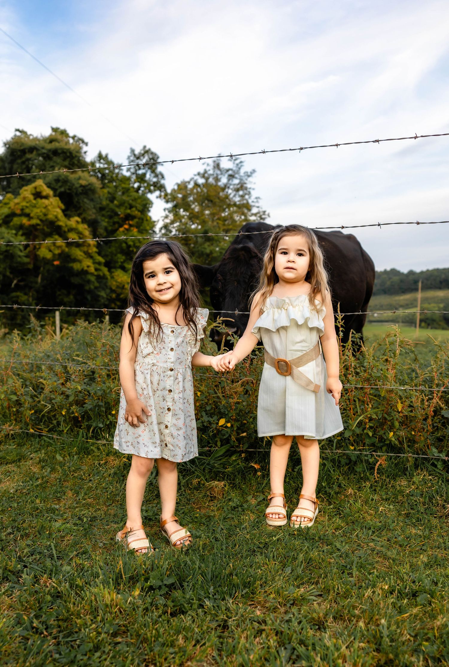 Two children in summer dresses posing together on grass near a fence with cattle in background.