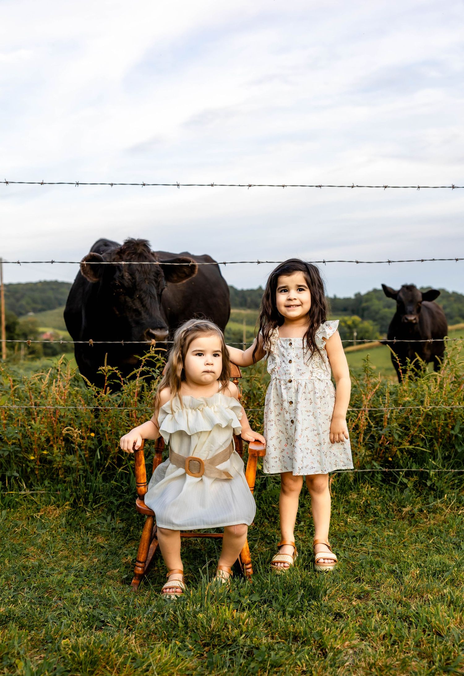 Two children in light dresses stand near fence with black cows grazing in background.