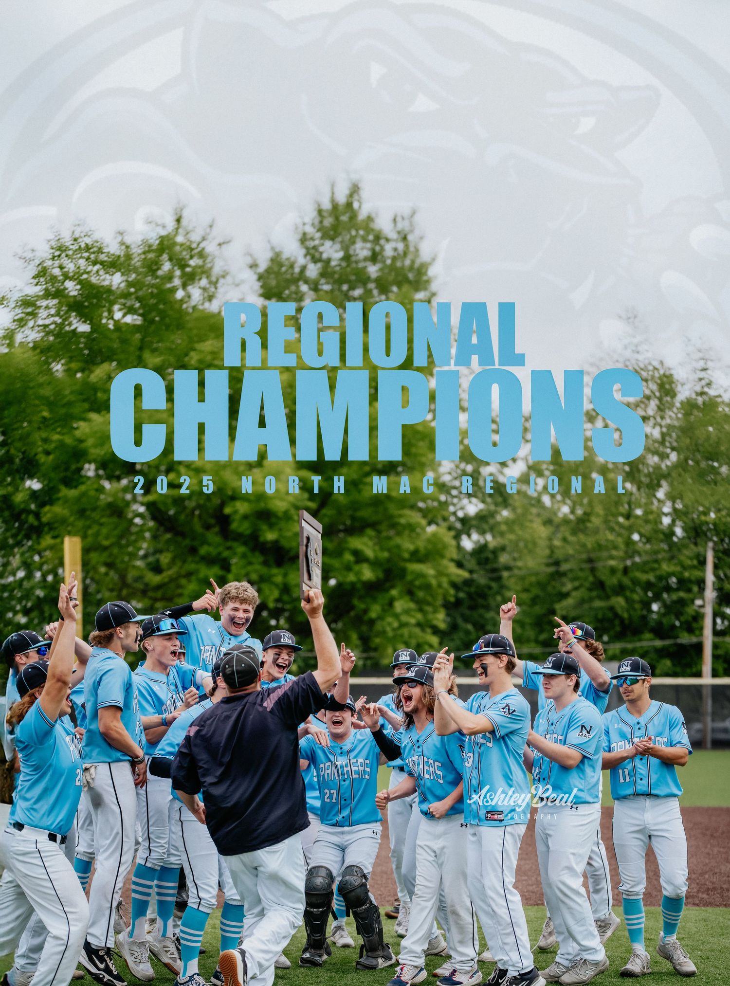 Baseball team celebrates becoming regional champions wearing light blue uniforms.