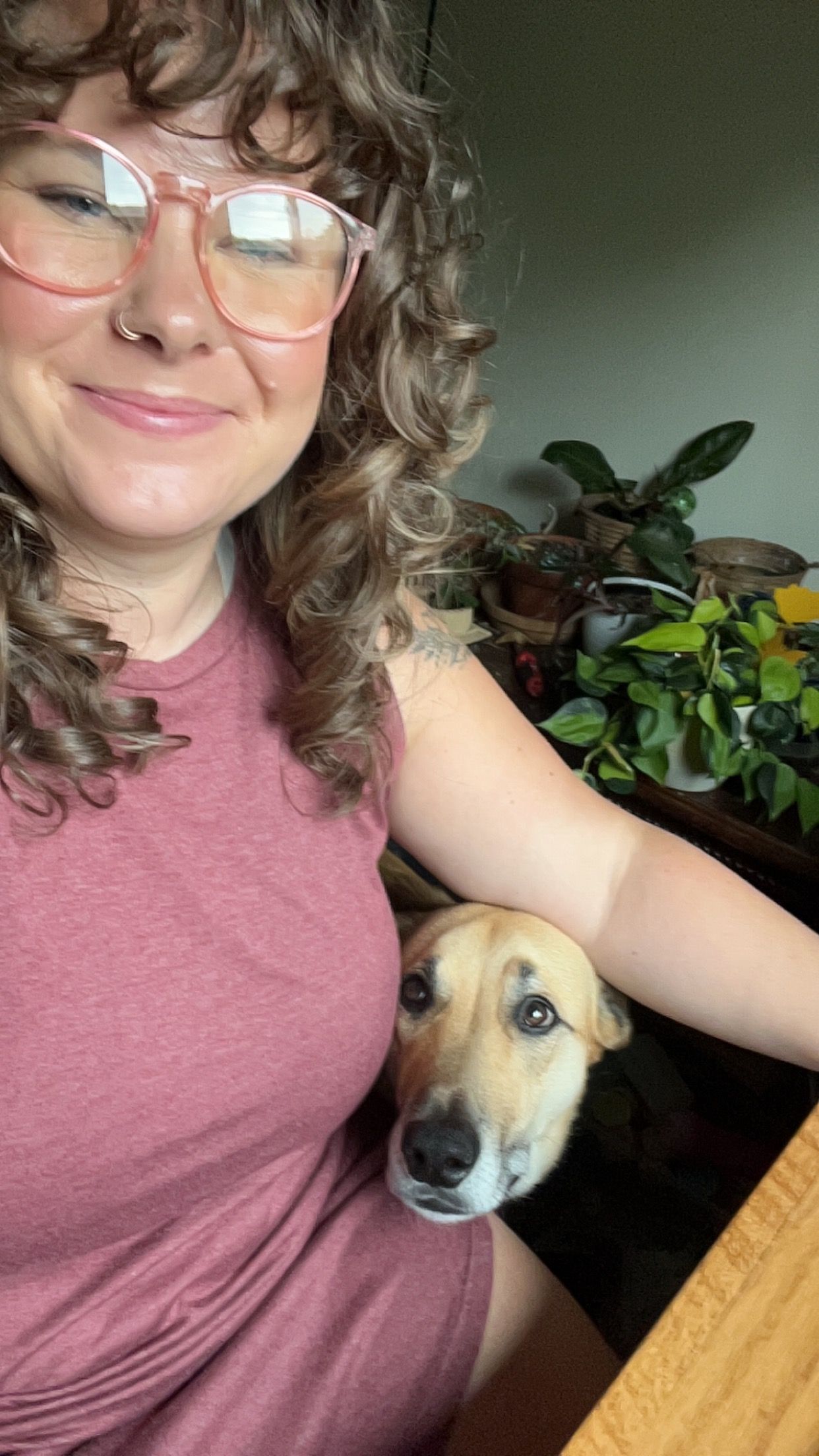 Person in pink shirt takes several selfies while petting a golden-colored dog with expressive eyes.