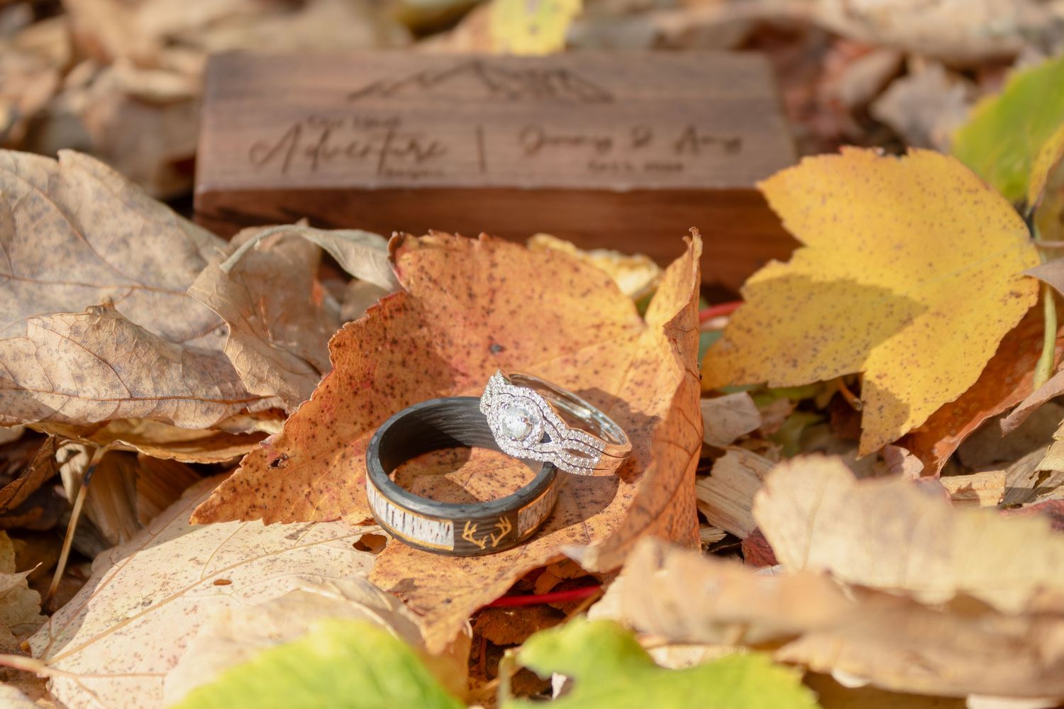 Wedding rings rest on autumn maple leaves with brown and golden colors in a natural outdoor setting.