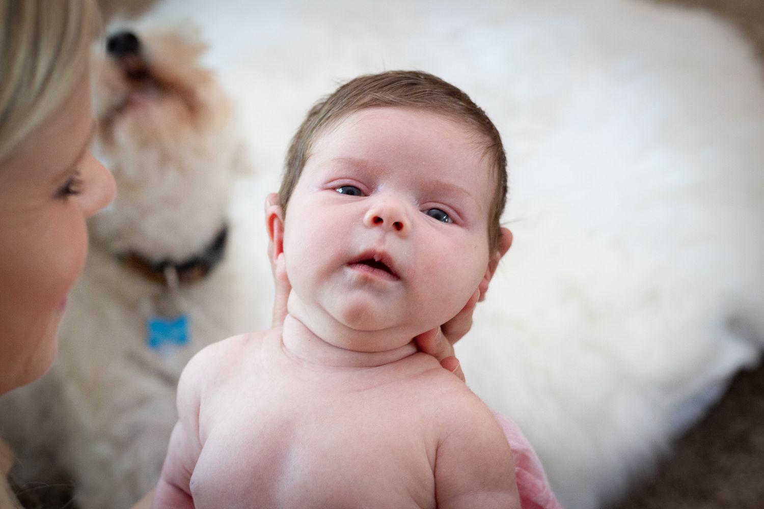 Baby with curious expression while white dog sits nearby.
