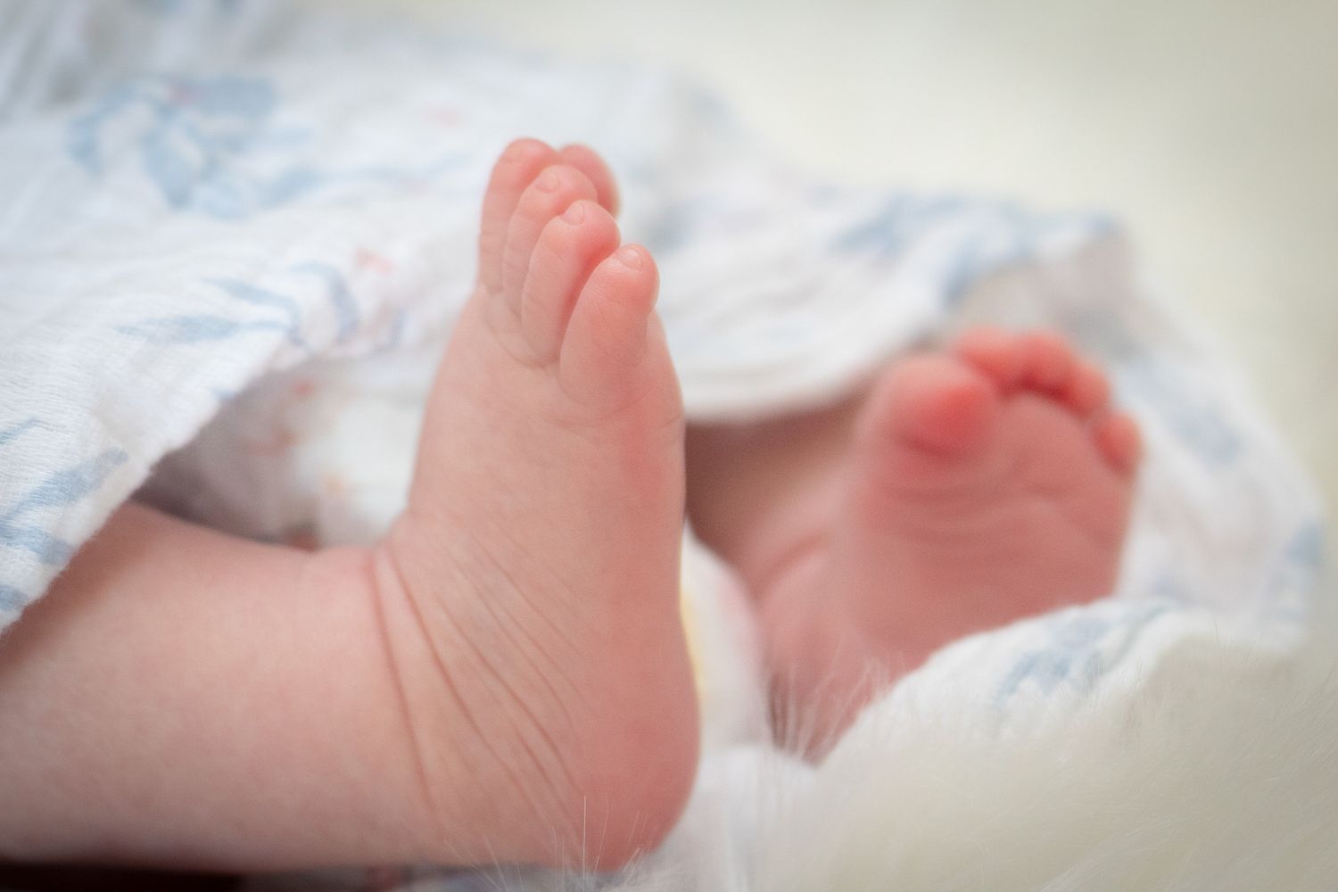 Close-up of tiny newborn feet wrapped in light blue blanket.