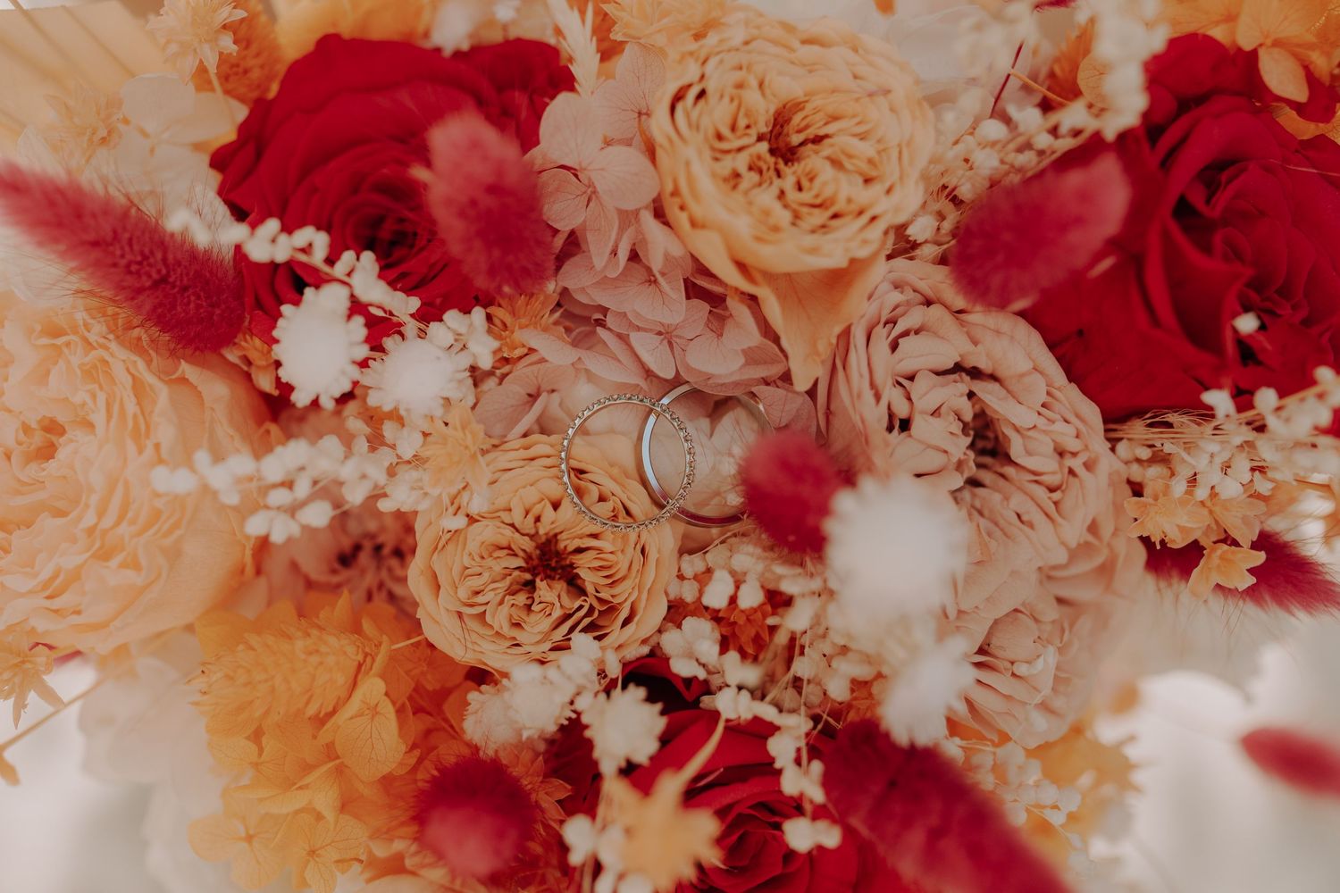 Close-up of delicate peach garden roses and bold red roses with white baby's breath flowers in dreamy floral arrangement.