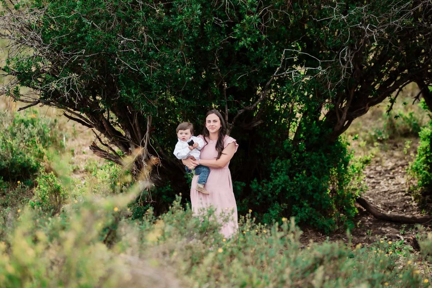 A couple embraces beneath a verdant tree canopy in a romantic outdoor setting.