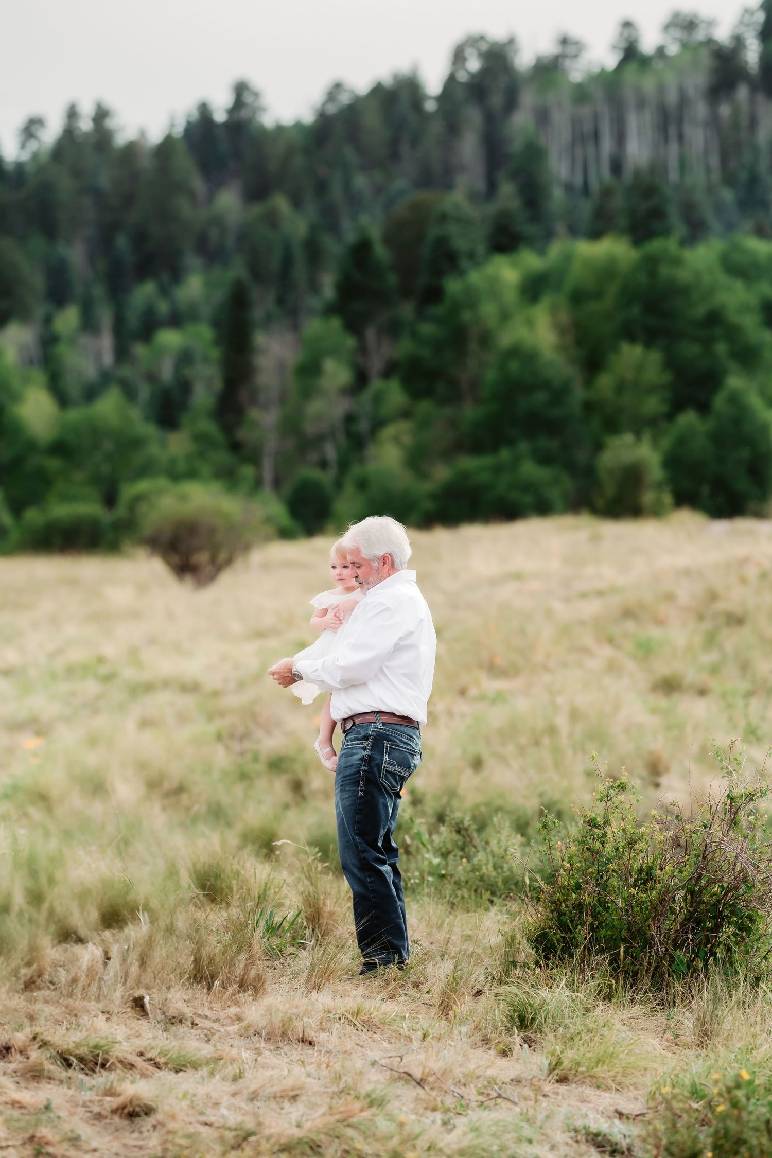 A person in western attire stands alone in a mountain meadow surrounded by evergreen forest.