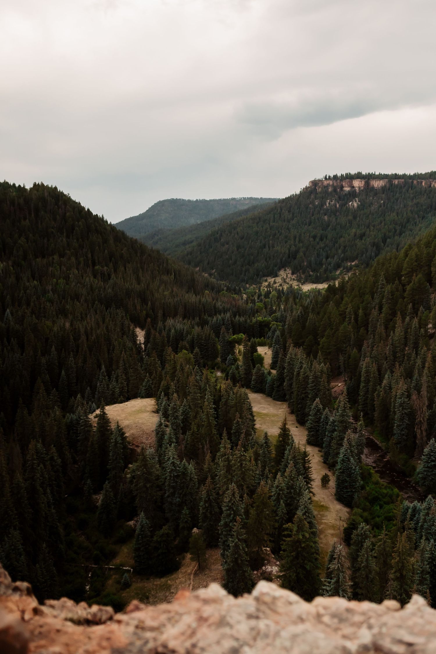 Aerial view of a forested mountain valley with winding roads and dramatic cliffs.