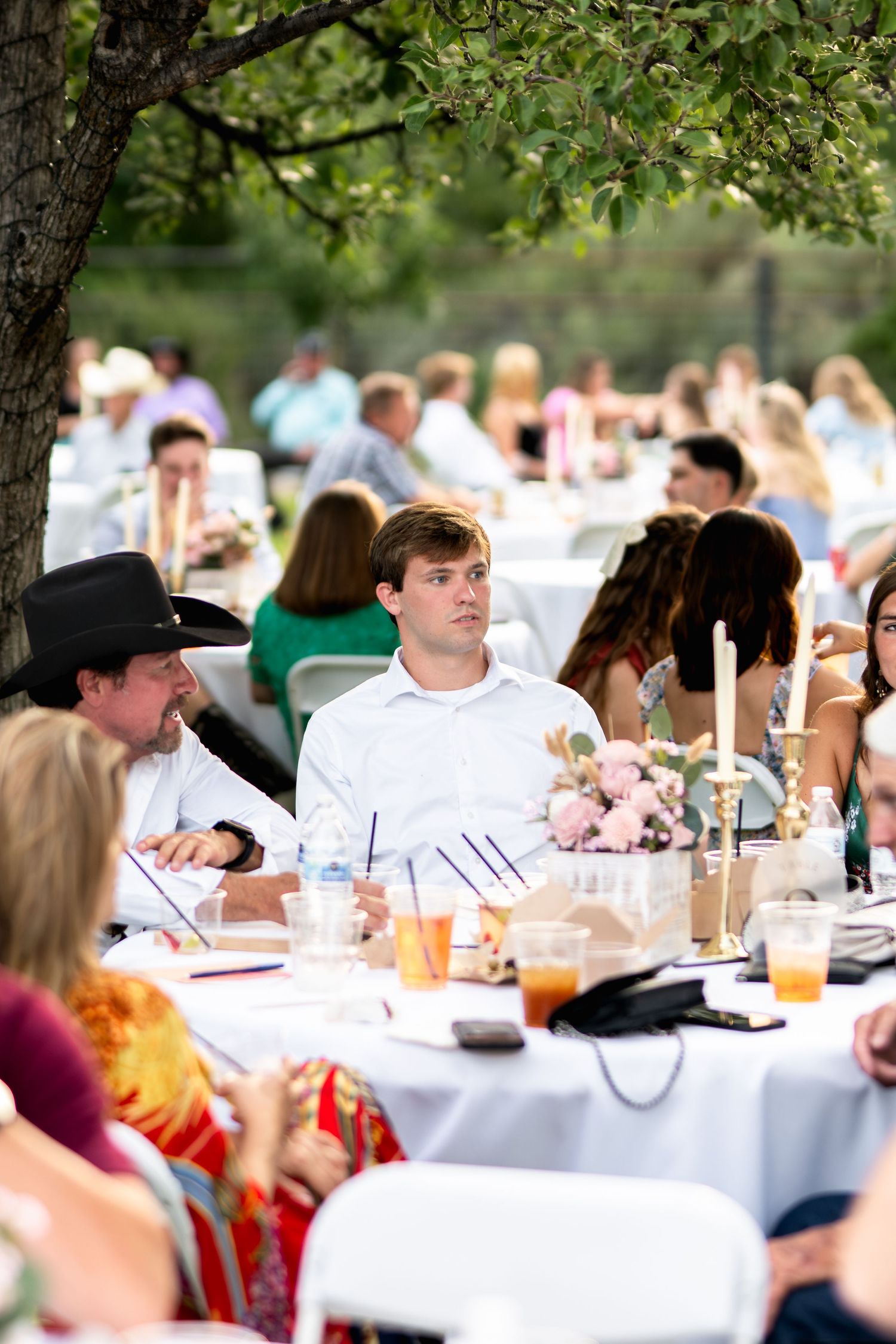 Reception guests gather at decorated tables under trees for an outdoor wedding celebration.