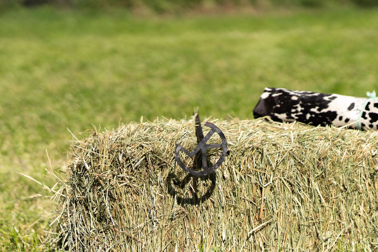 A horseshoe hangs on a rustic hay bale in an outdoor farm setting.