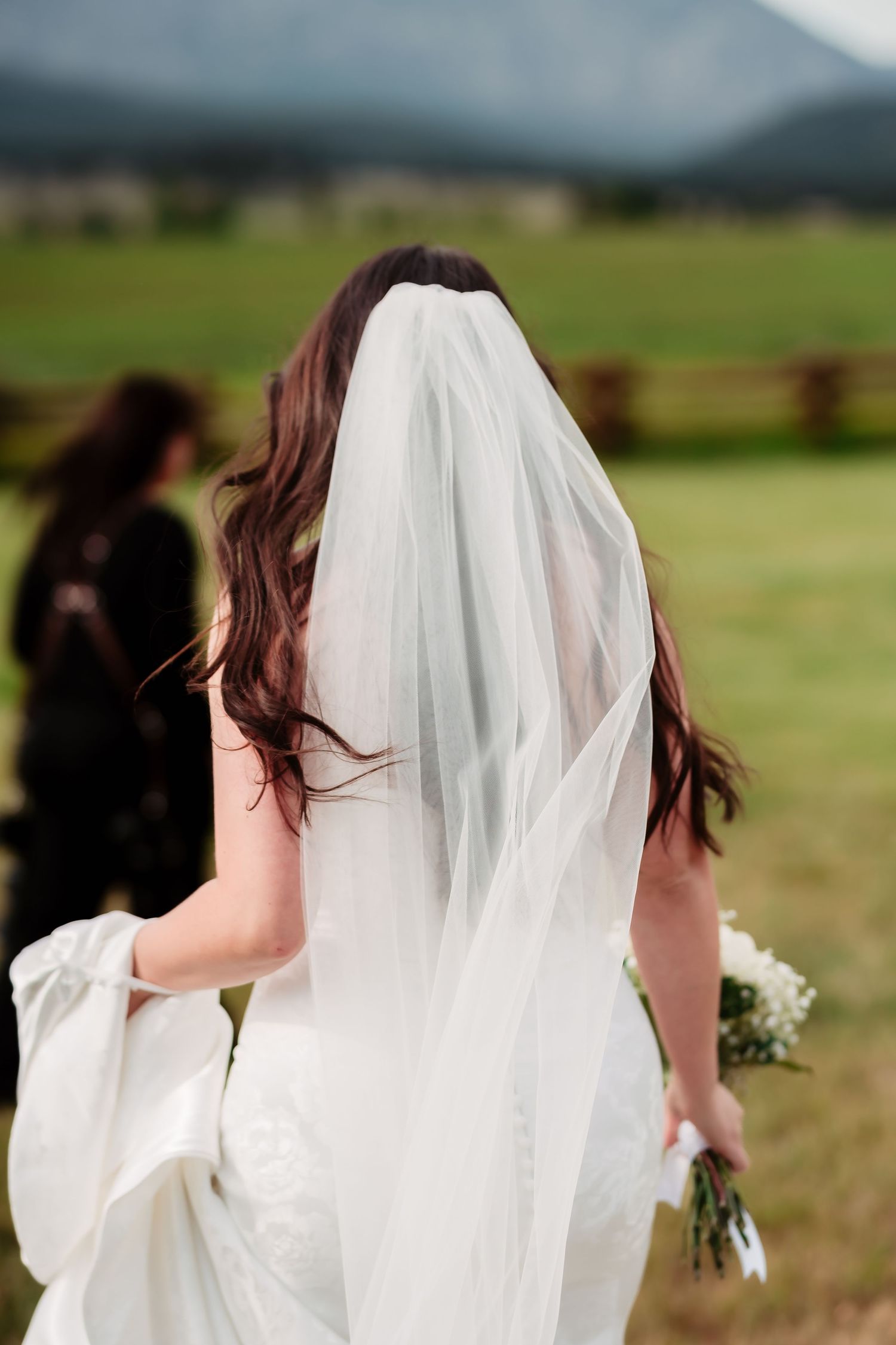 A bride in a white wedding dress and flowing veil is photographed from behind against a scenic mountain landscape.