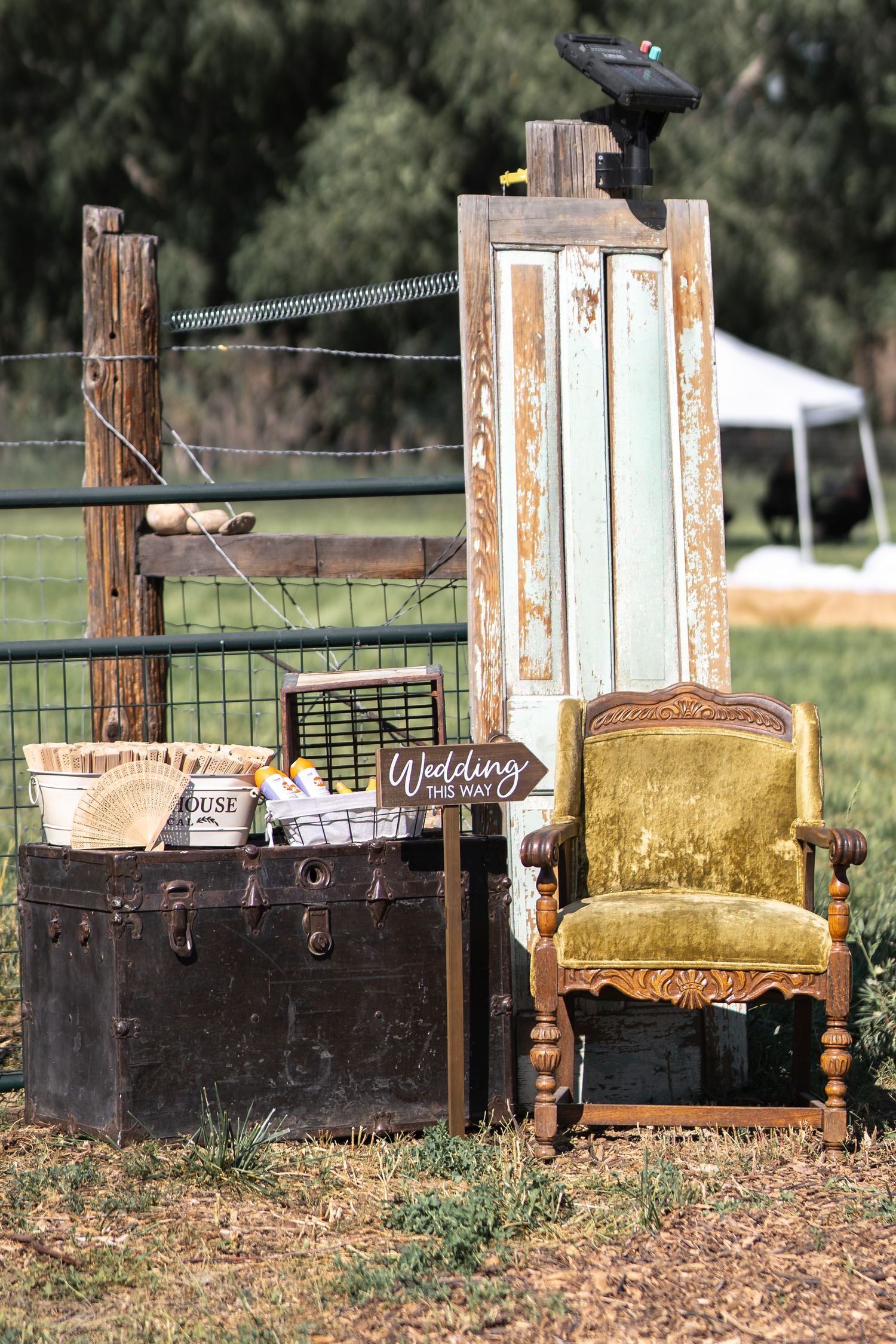 Vintage wedding decor setup with antique trunk, velvet chair and rustic wooden posts in an outdoor setting.
