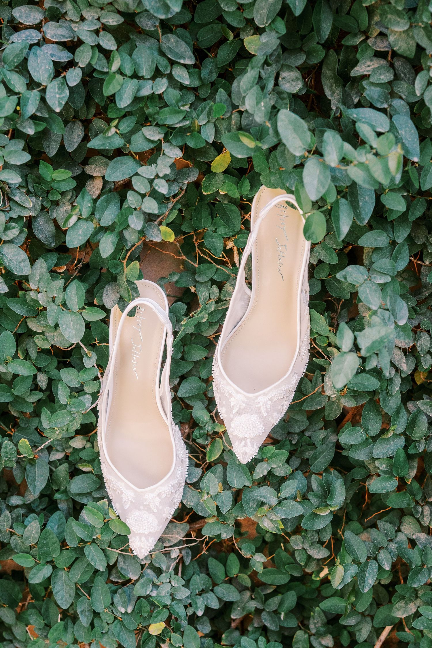 Delicate pink lace slingback flats displayed against a backdrop of lush green leaves.