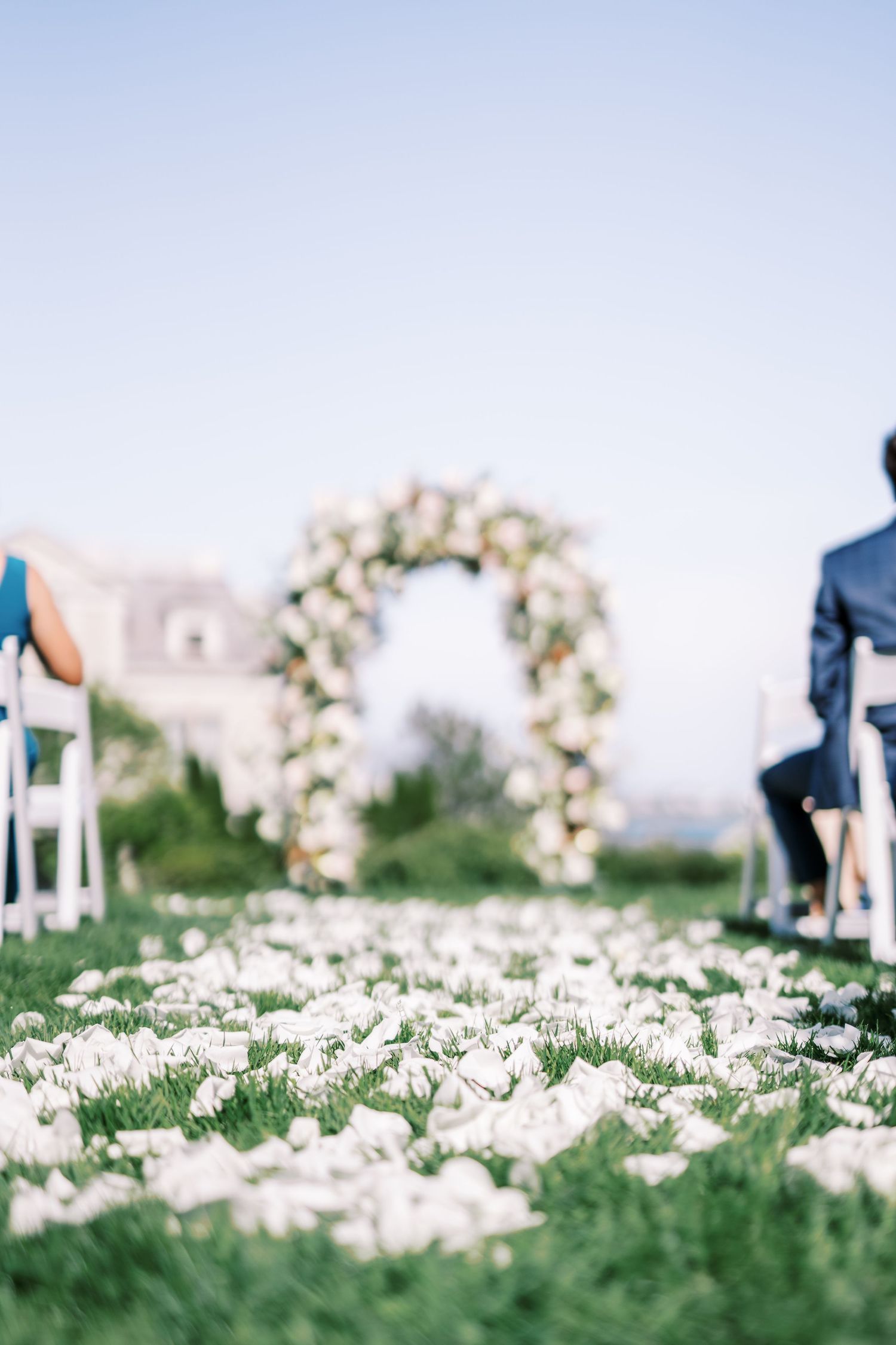White flowers blooming in a meadow with fence posts visible and mountains in the blurred background.