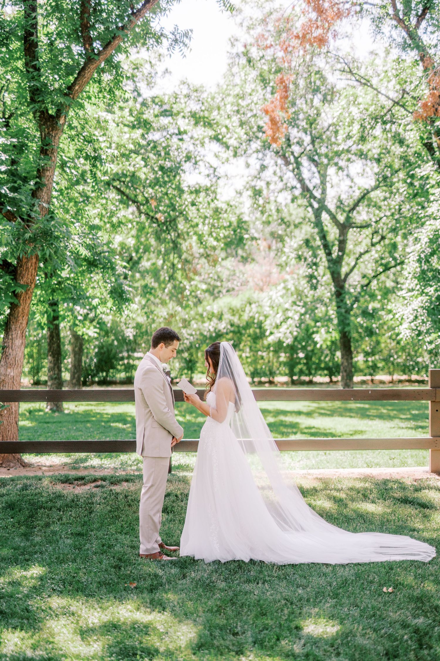 Two newlyweds share a romantic moment in a sunlit park setting with tall green trees and dappled sunlight.