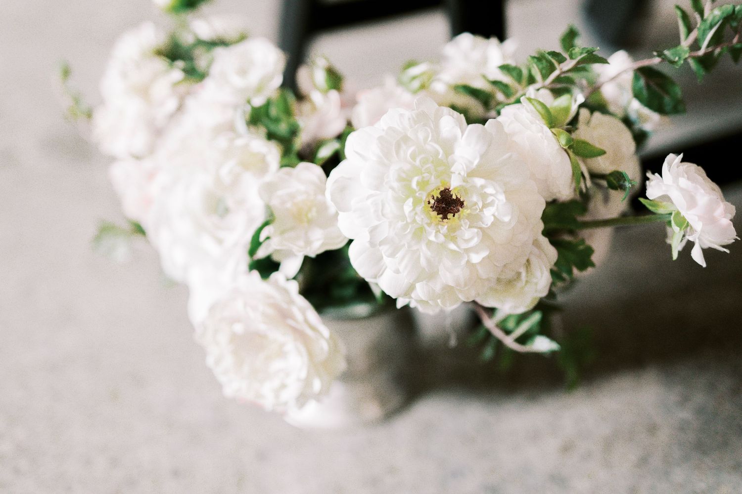 A delicate arrangement of white ranunculus flowers with soft green foliage against a light neutral background.