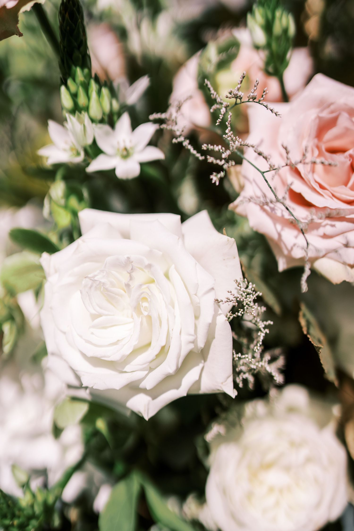 Close-up of delicate white and pink roses with baby's breath in a romantic floral arrangement.