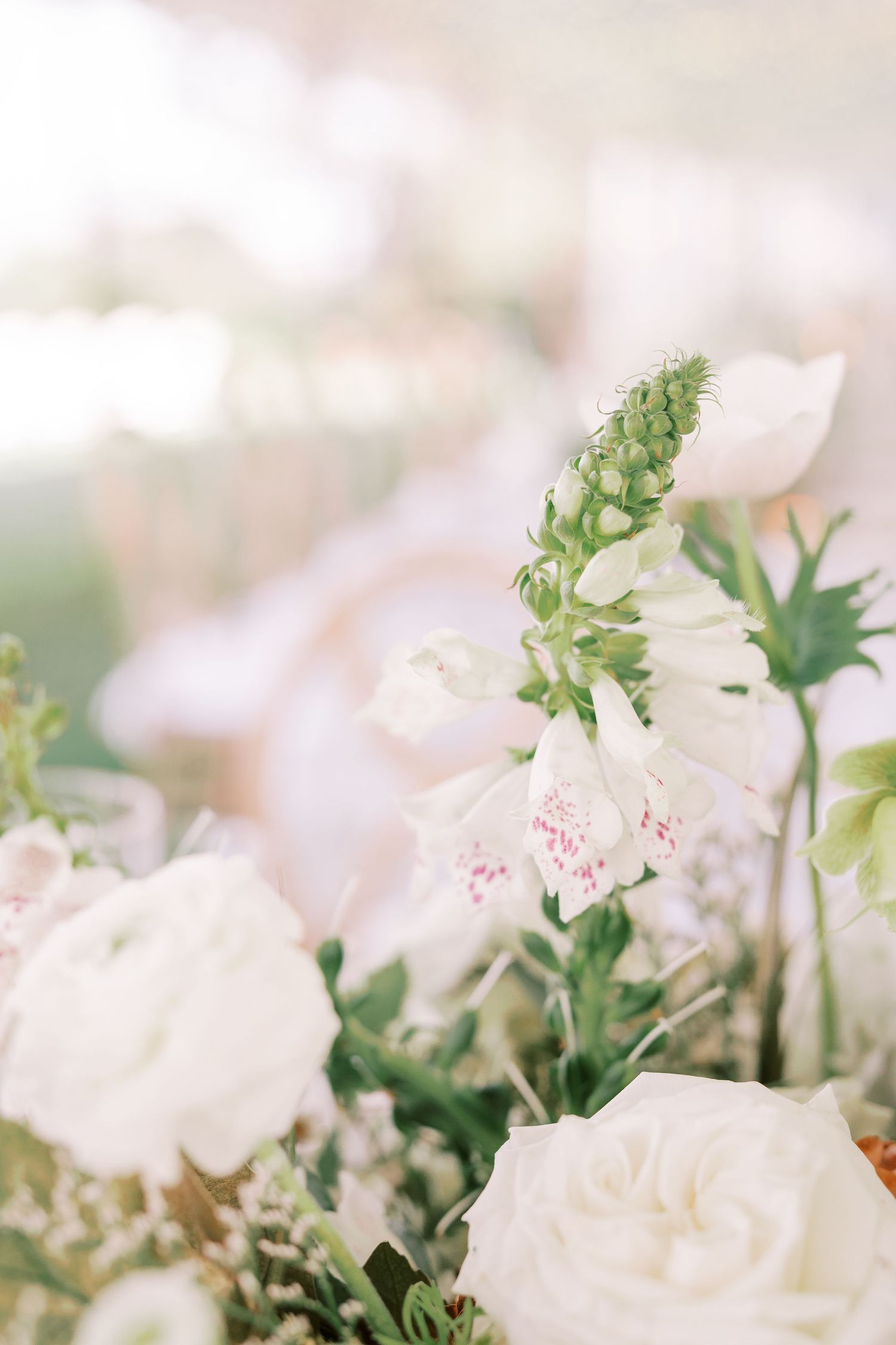 Delicate white roses and pink-speckled foxgloves create an ethereal floral arrangement with soft bokeh background.