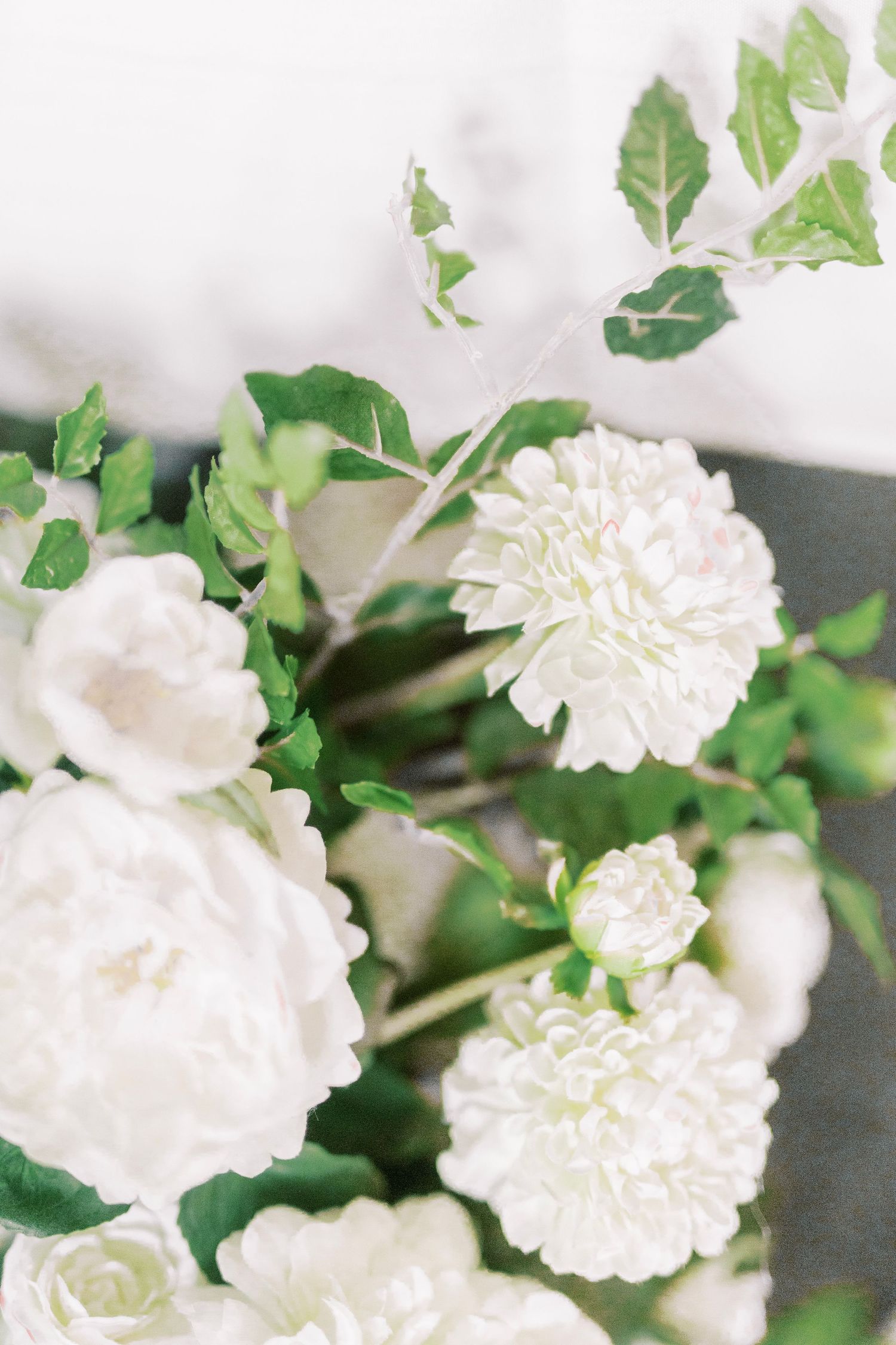 Delicate white carnations and fresh green foliage captured in soft focus against a light background.