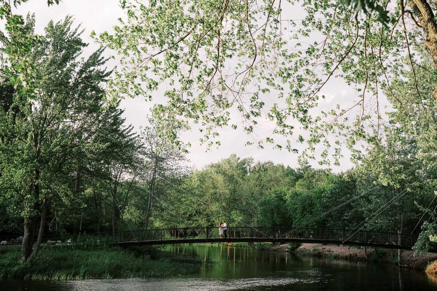 Row of blossoming trees creating a natural green canopy in a garden or park setting.
