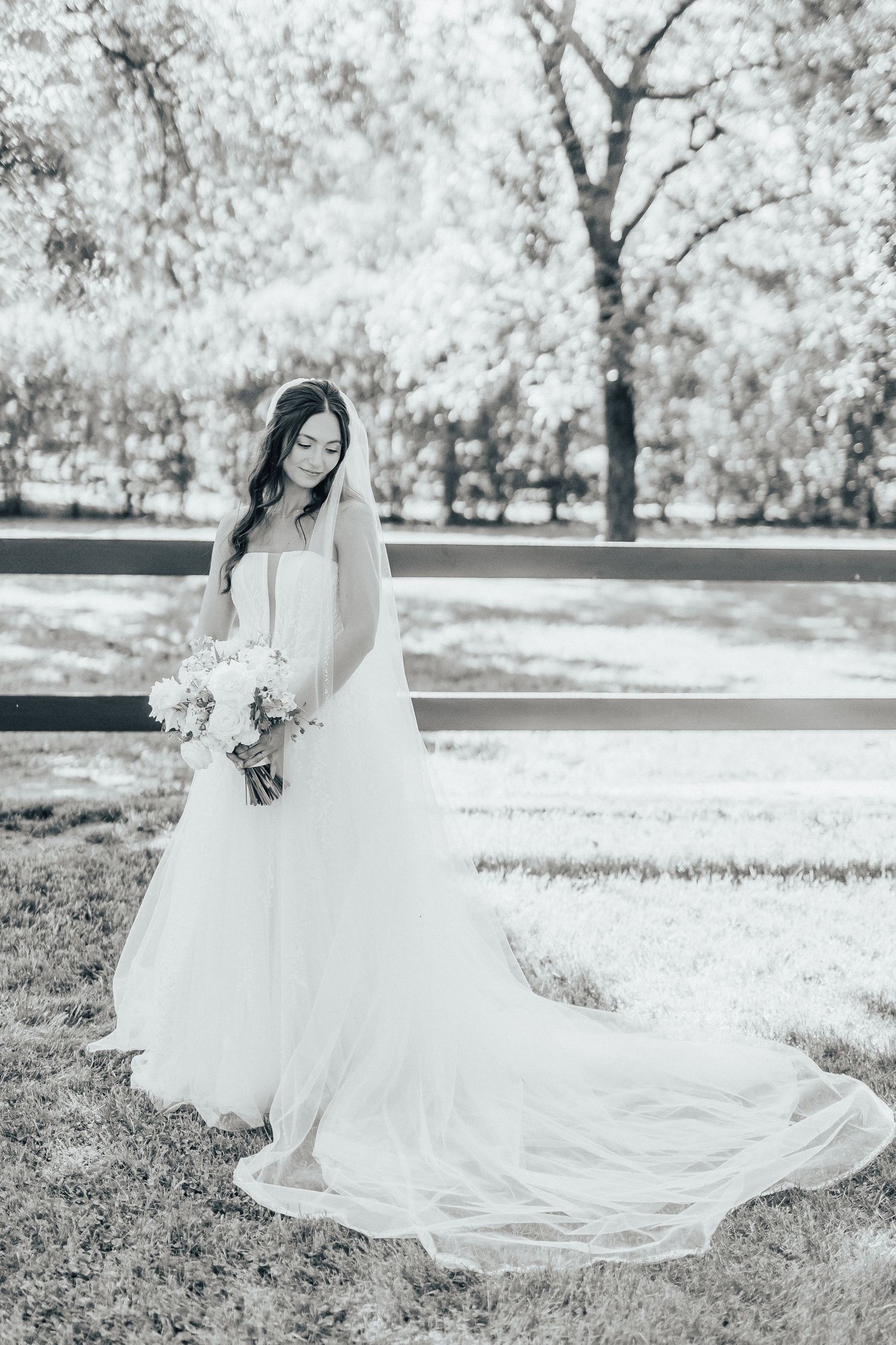 A black and white portrait of a bride sitting gracefully in her flowing white wedding gown in an outdoor garden setting.