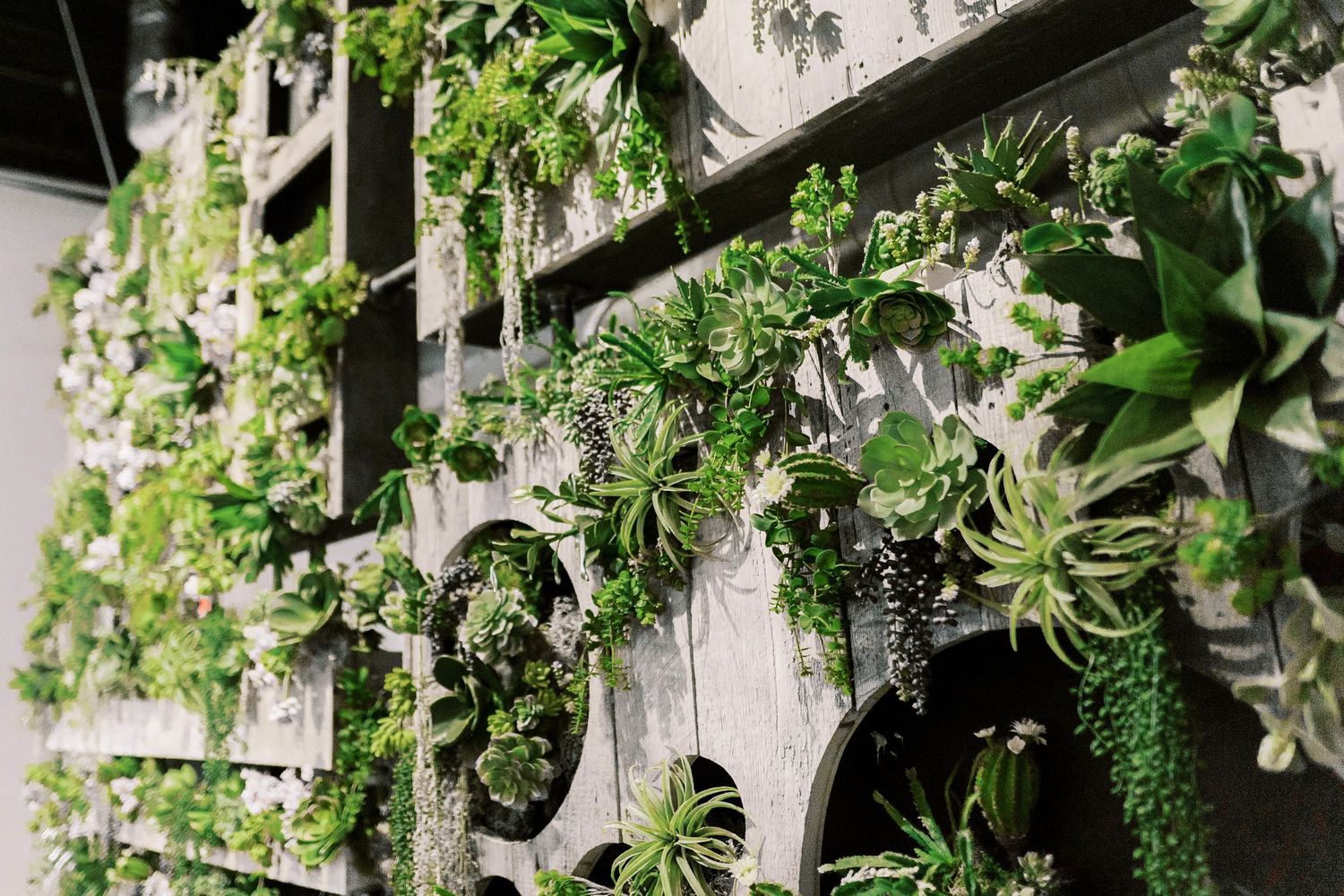 Hanging greenery installation with cascading plants and white flowers against industrial backdrop.