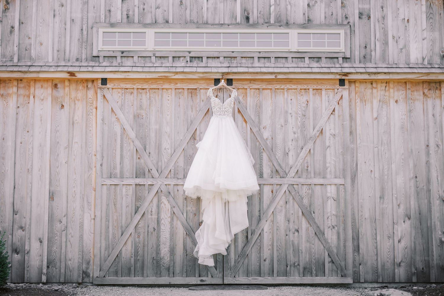 A white wedding gown hangs elegantly on a rustic wooden barn wall against weathered gray planks.