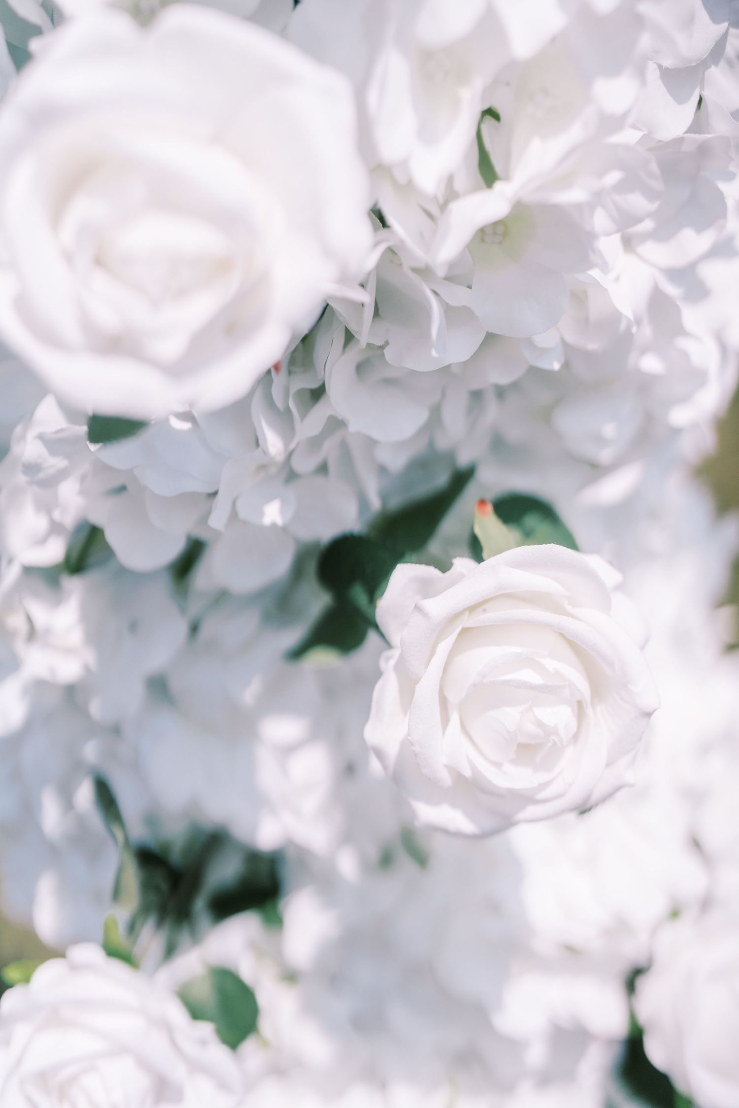 Close-up of pure white roses and floral arrangements with soft focus creating a dreamy, romantic atmosphere.