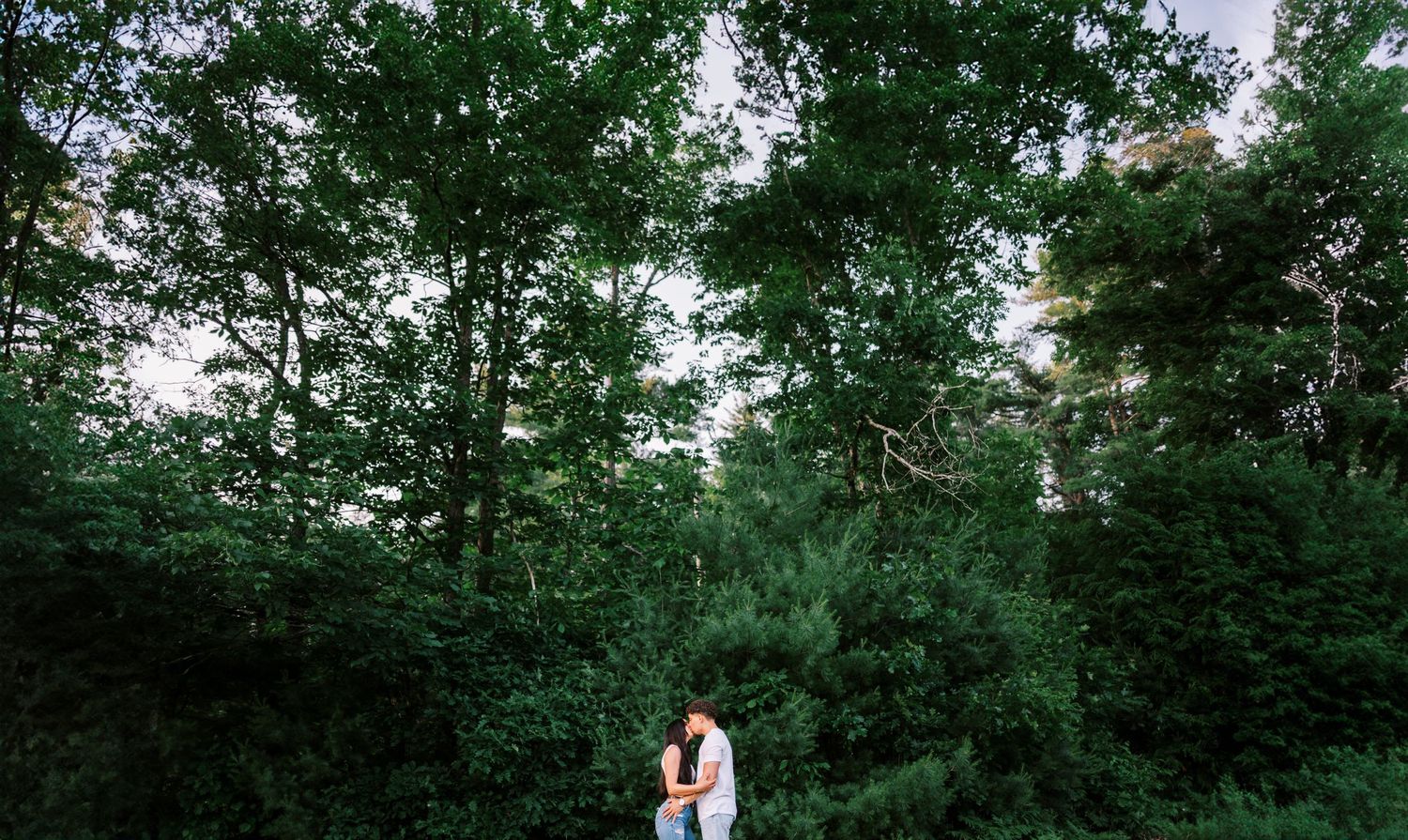 A couple stands together in silhouette against a backdrop of lush green forest.
