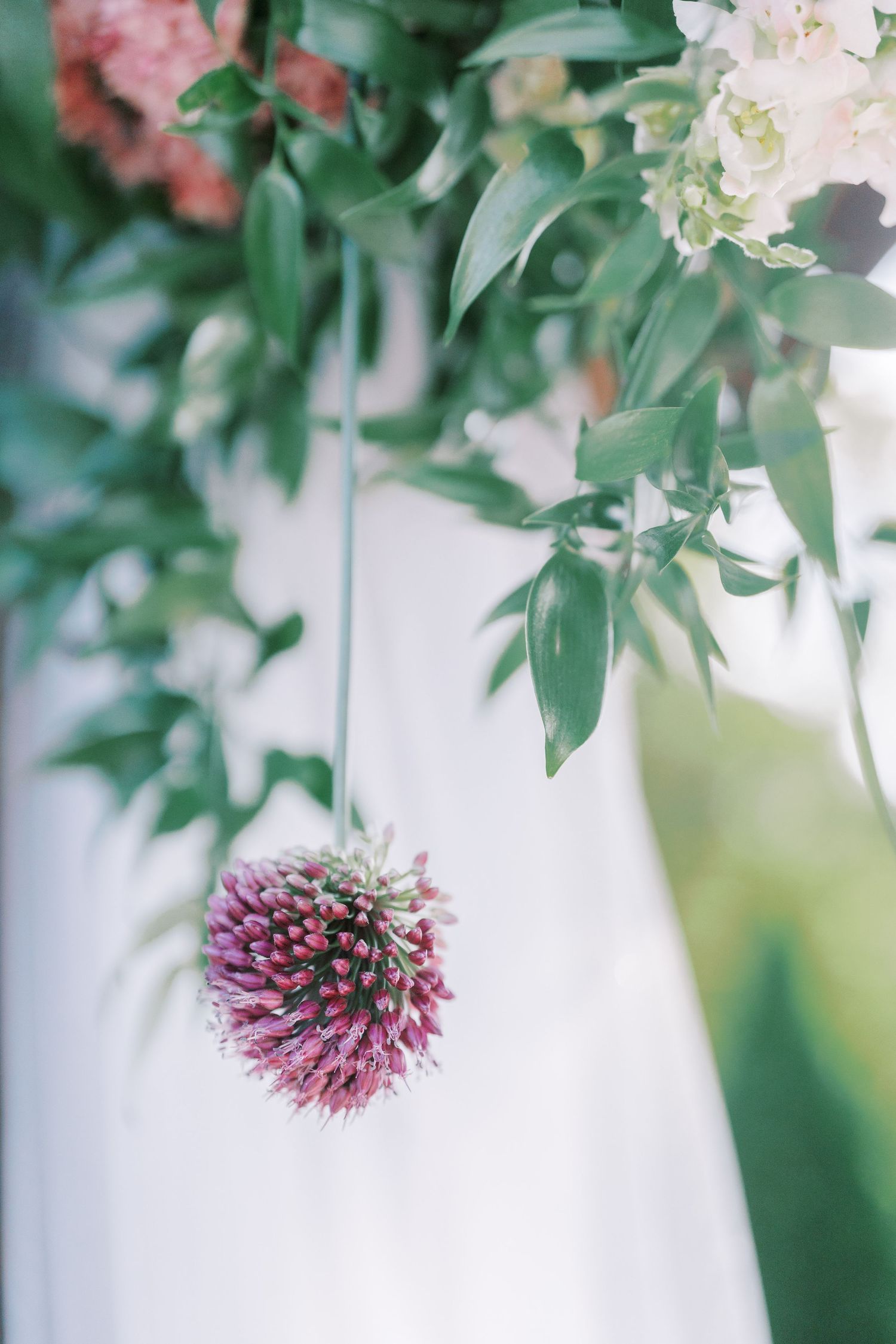 A single purple thistle flower hangs elegantly against a soft white background with green foliage.
