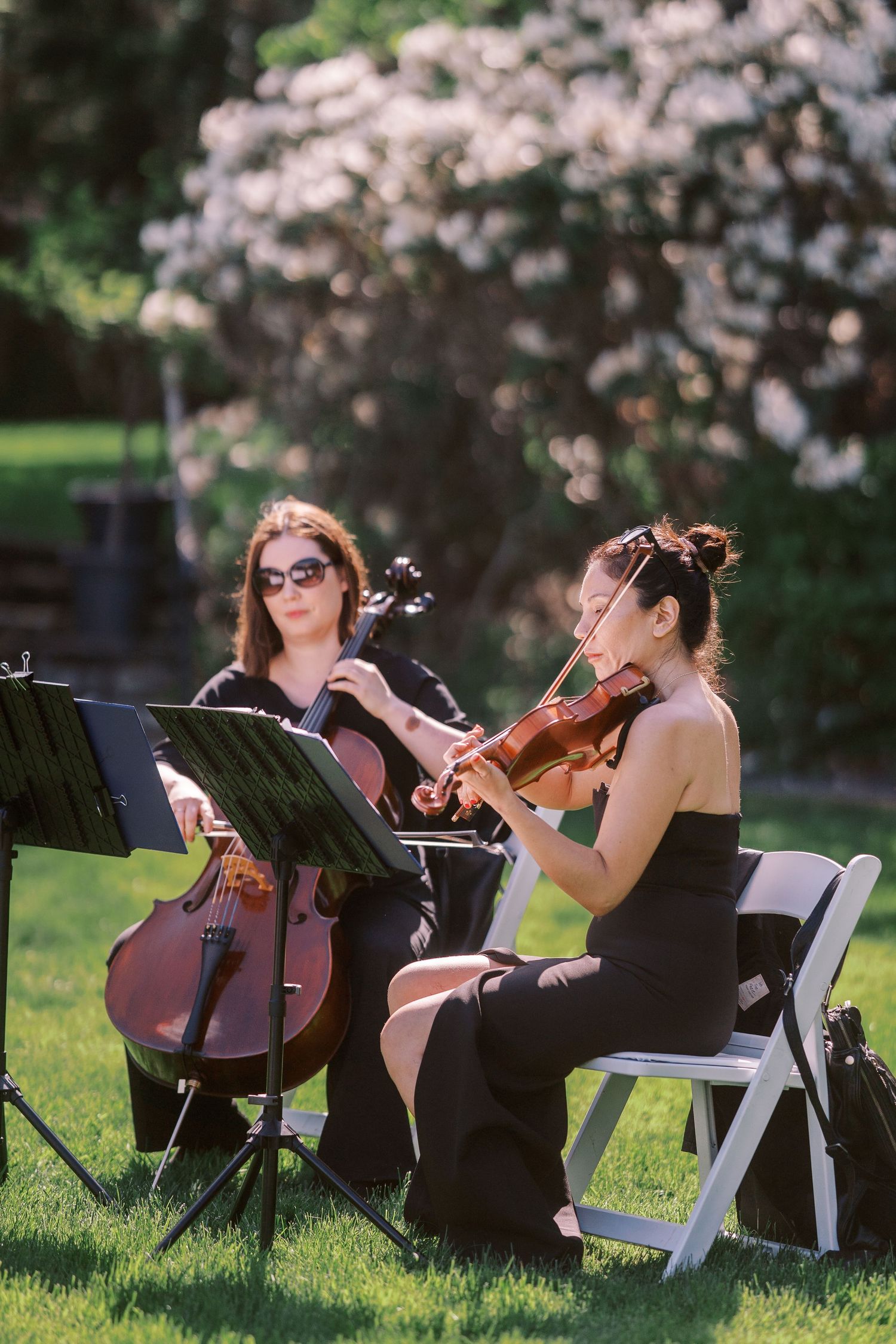 String quartet musicians perform outdoors under blooming cherry trees wearing black formal attire.