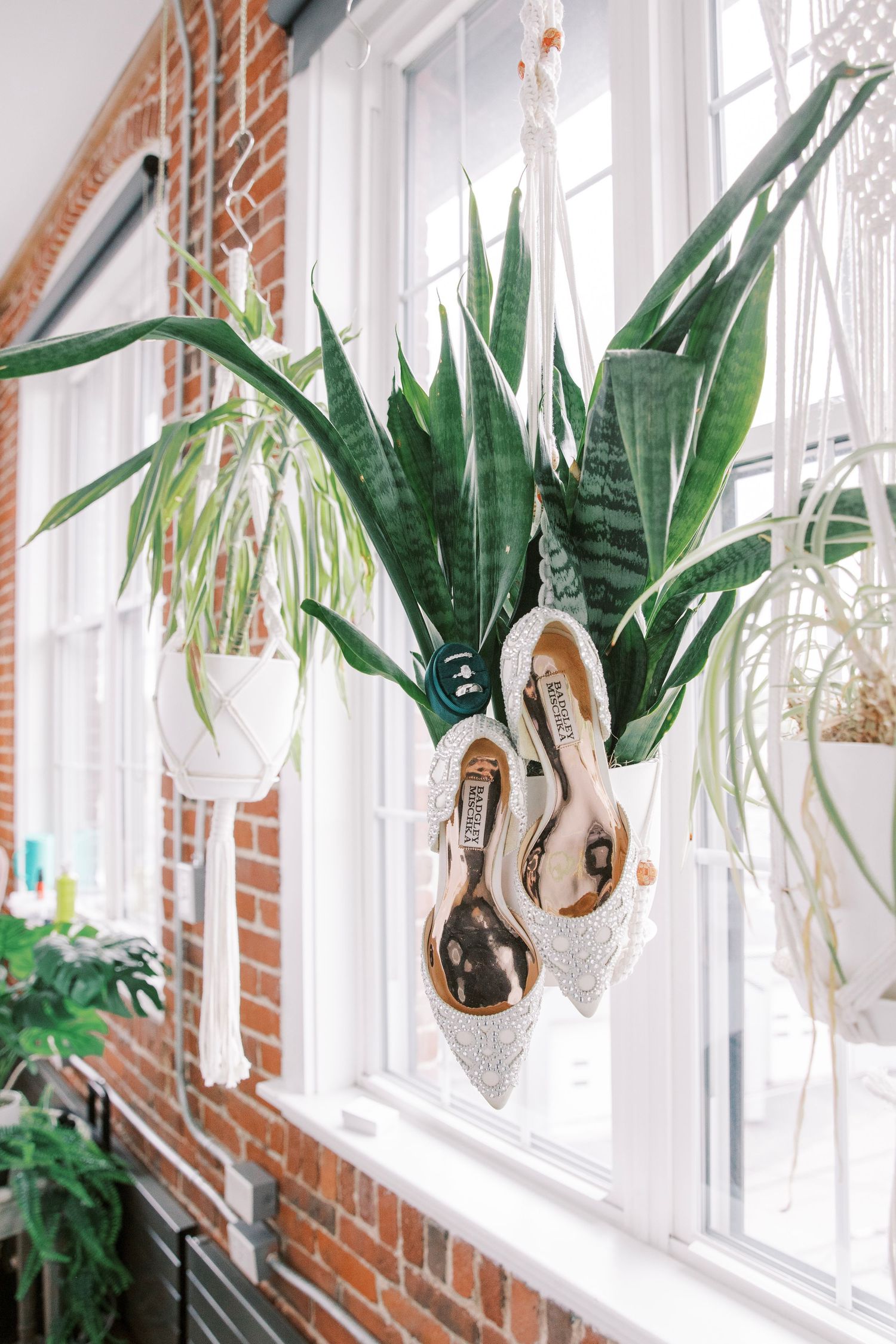 Bridal shoes and snake plants displayed in white hanging planters by a brick wall window.