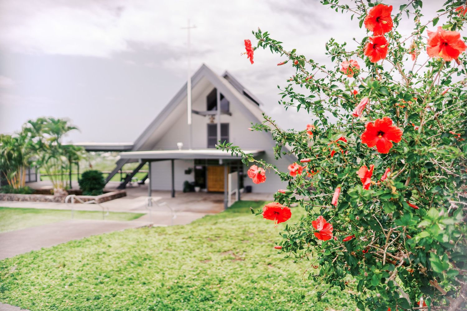 Modern A-frame church exterior with vibrant red hibiscus flowers blooming in the foreground.