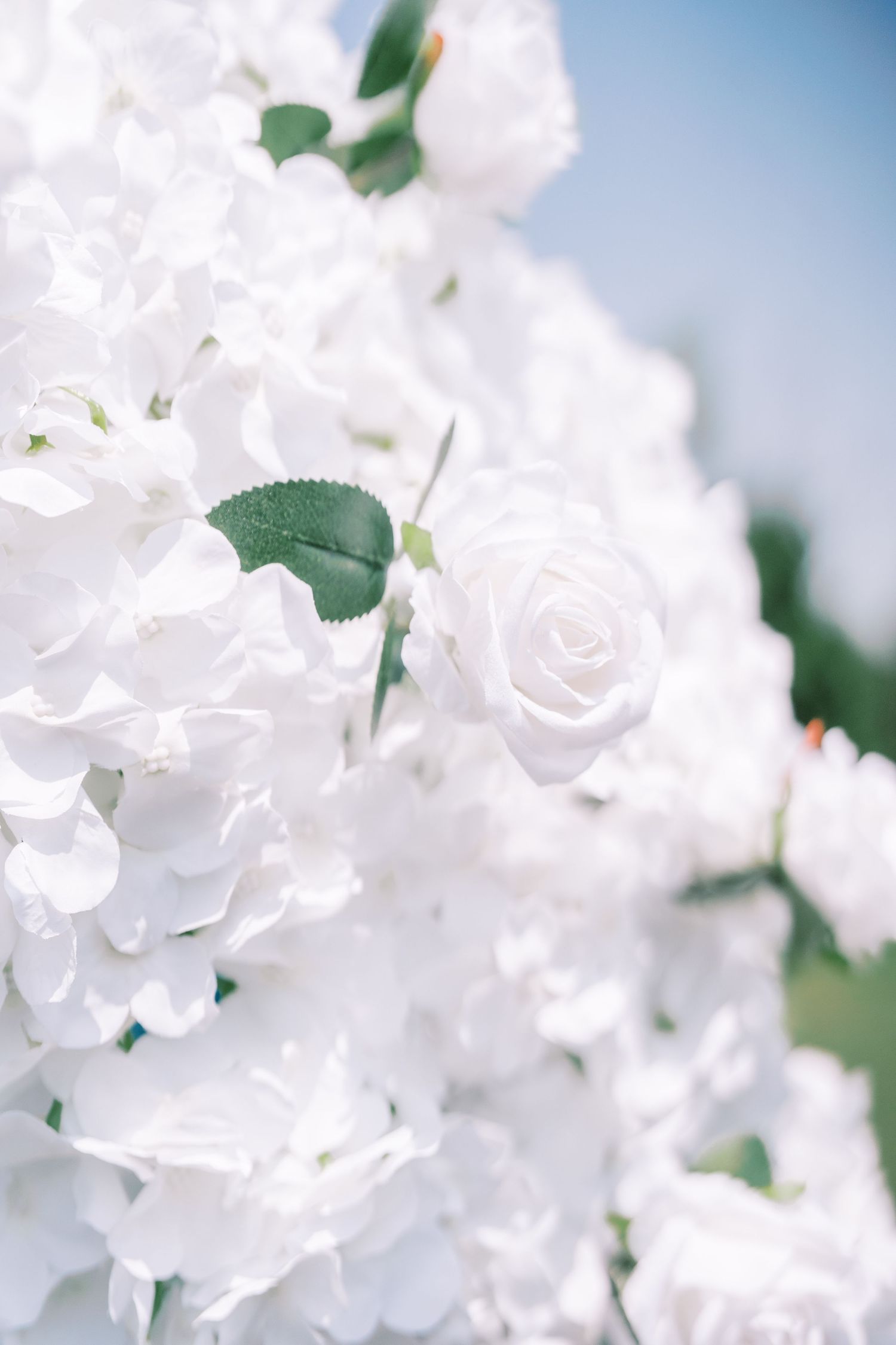 Delicate white roses and hydrangeas bloom together in a soft, ethereal bouquet against a light blue sky background.