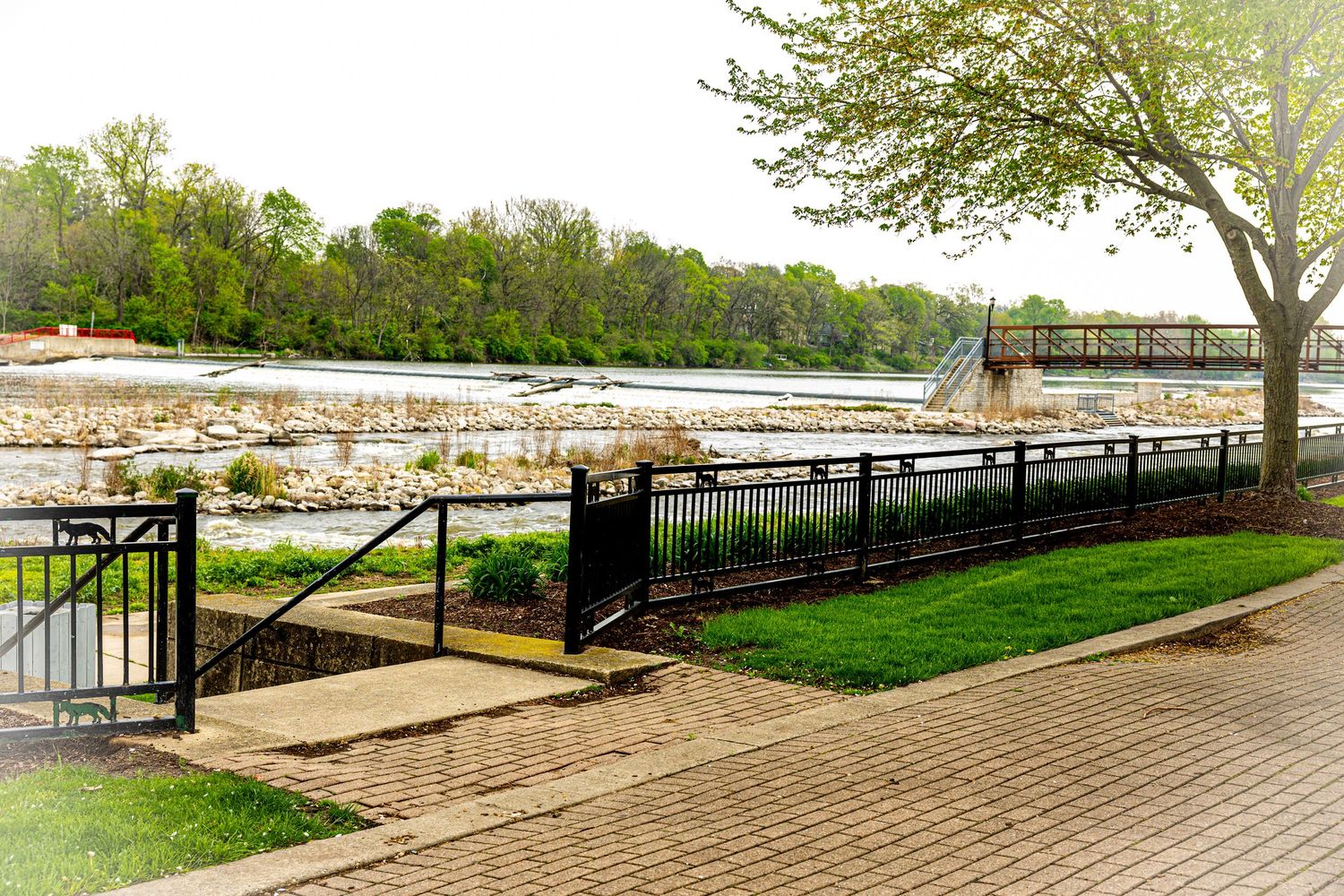 A scenic view of a riverfront walkway with a black metal railing, green lawn, and bridge visible in the background.