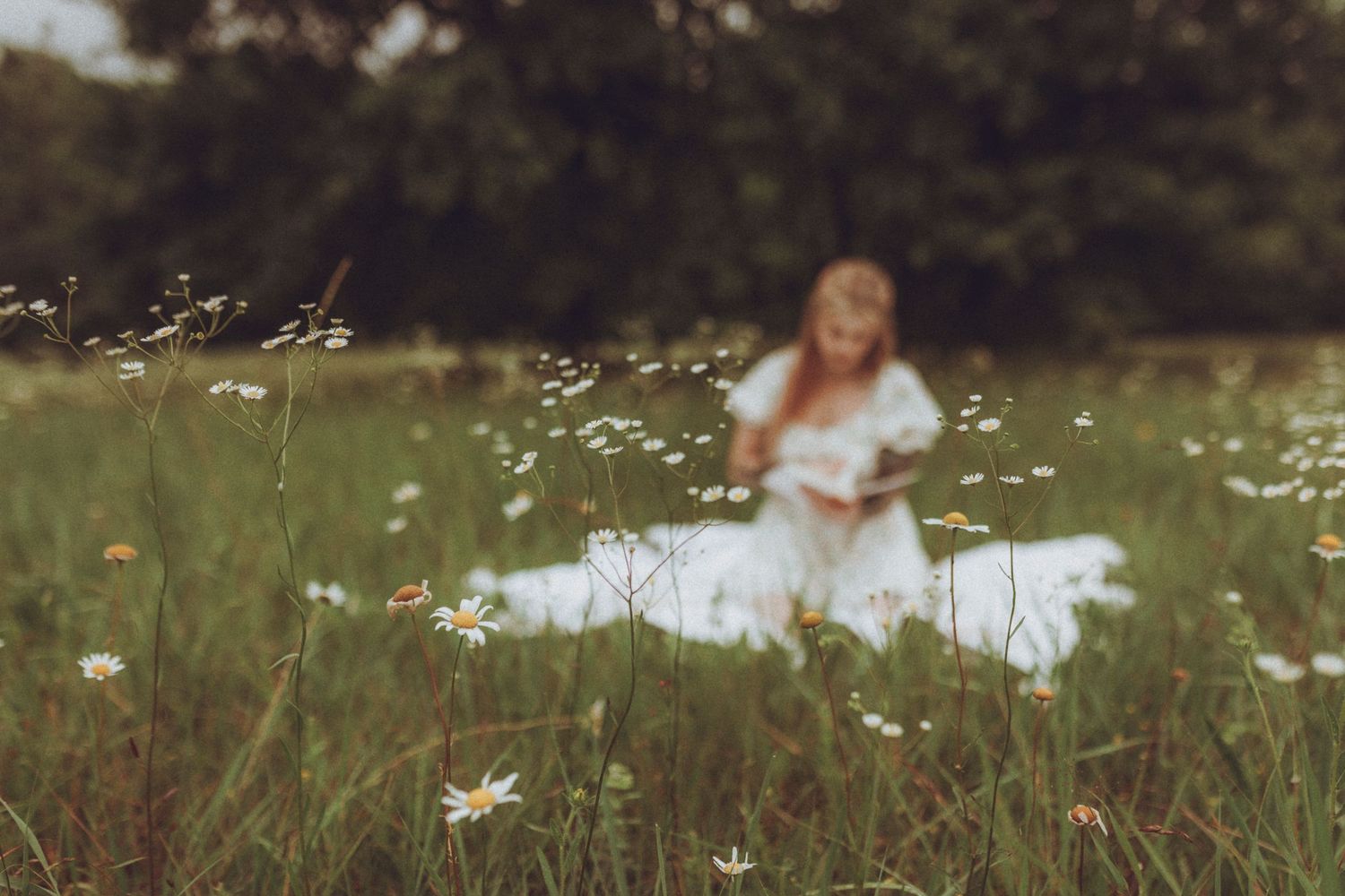 Dreamy portrait in wildflower meadow with white dress and soft focus effect in Republic Missouri.