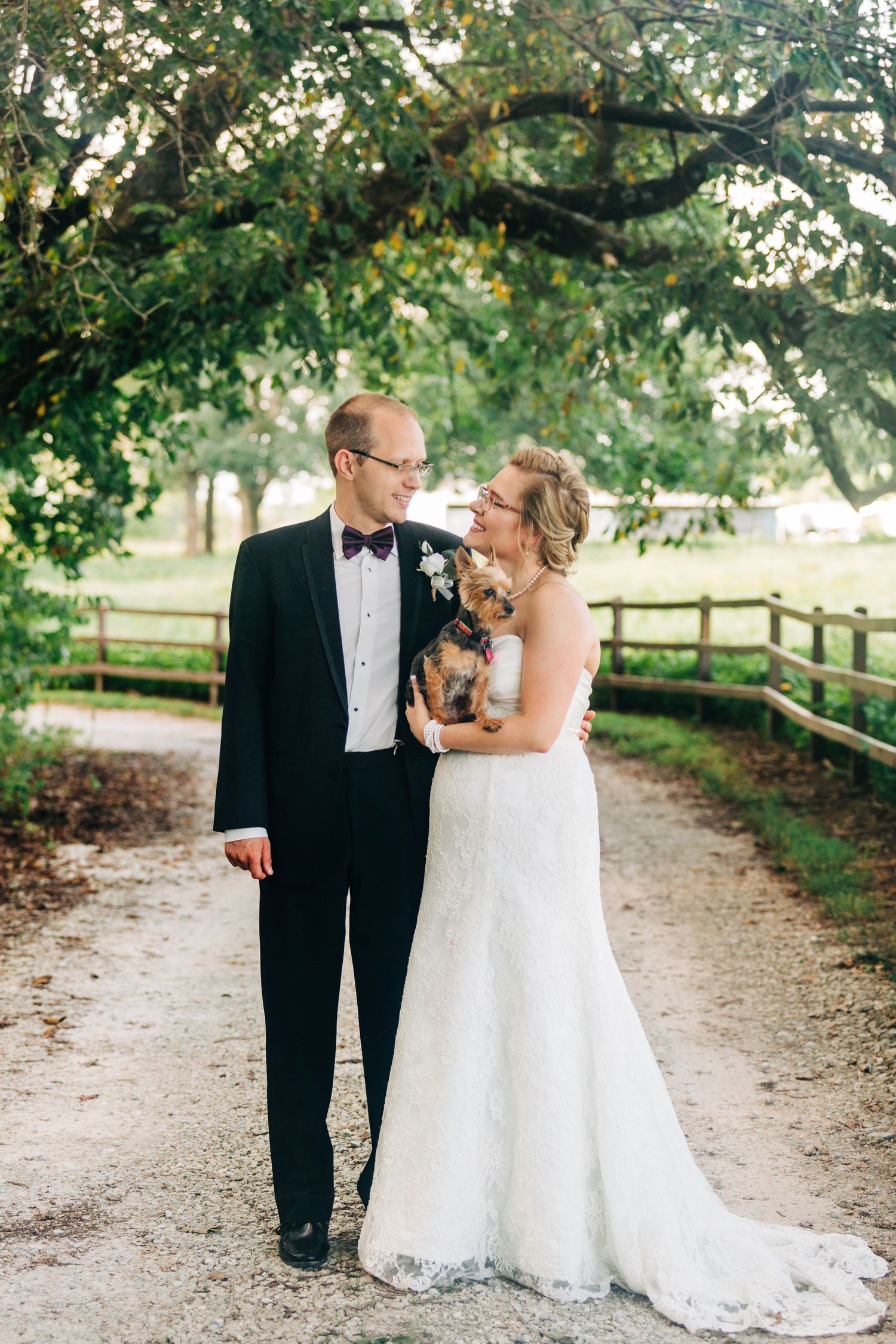 Wedding bride and groom with their fur baby at Timberline Barn in Buffalo Missouri on a rustic road.