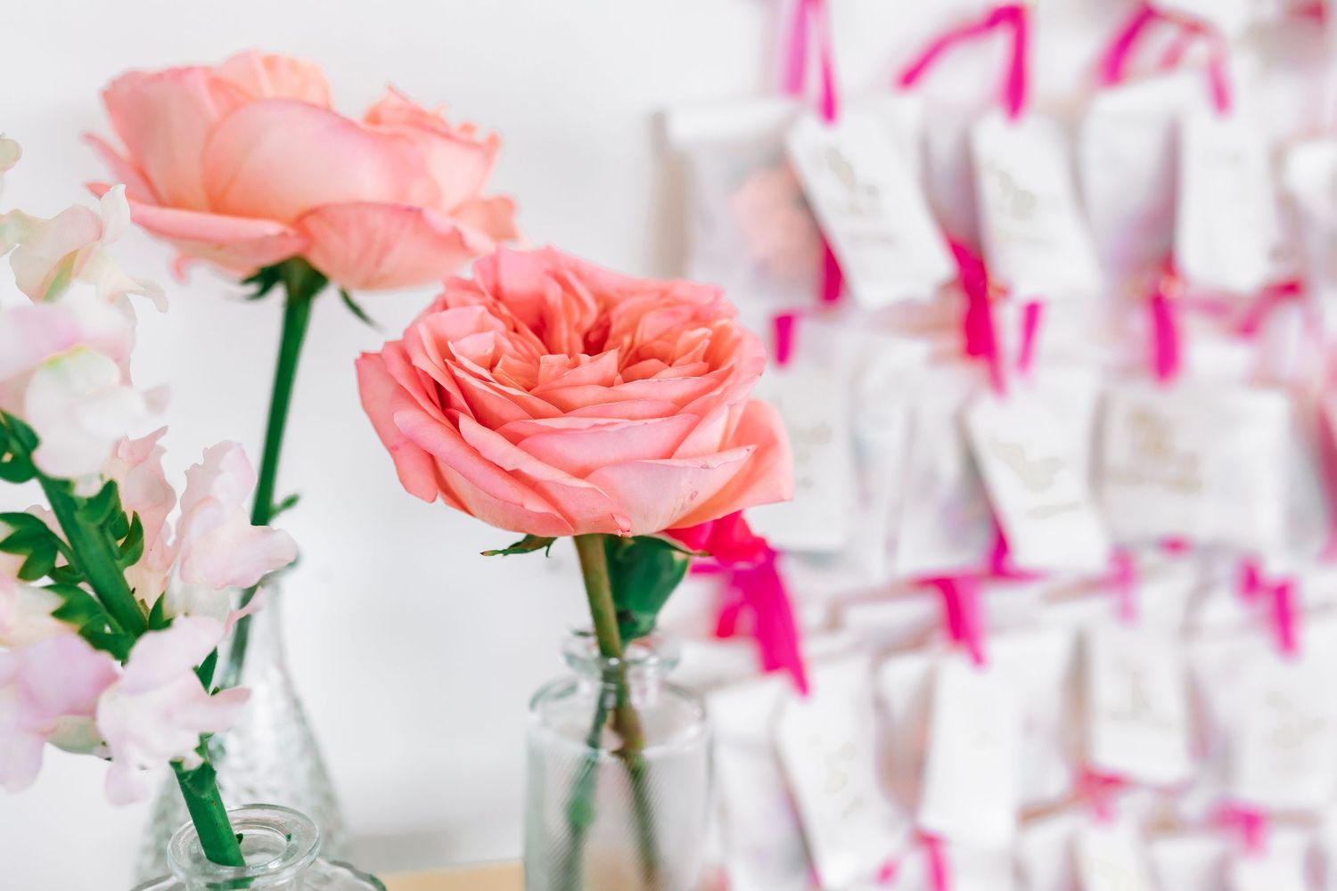 Pink and white roses in glass vases against white wall with pink accents.