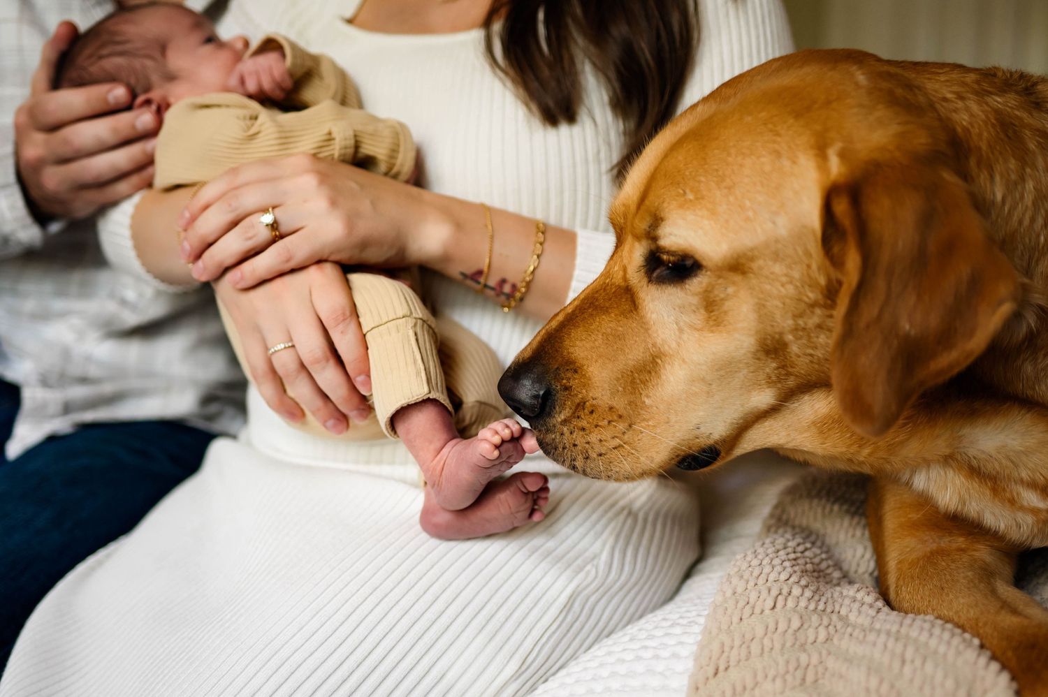 A Labrador retriever sniffs baby's toes while mother holds son during newborn session with raleigh nc newborn photographer