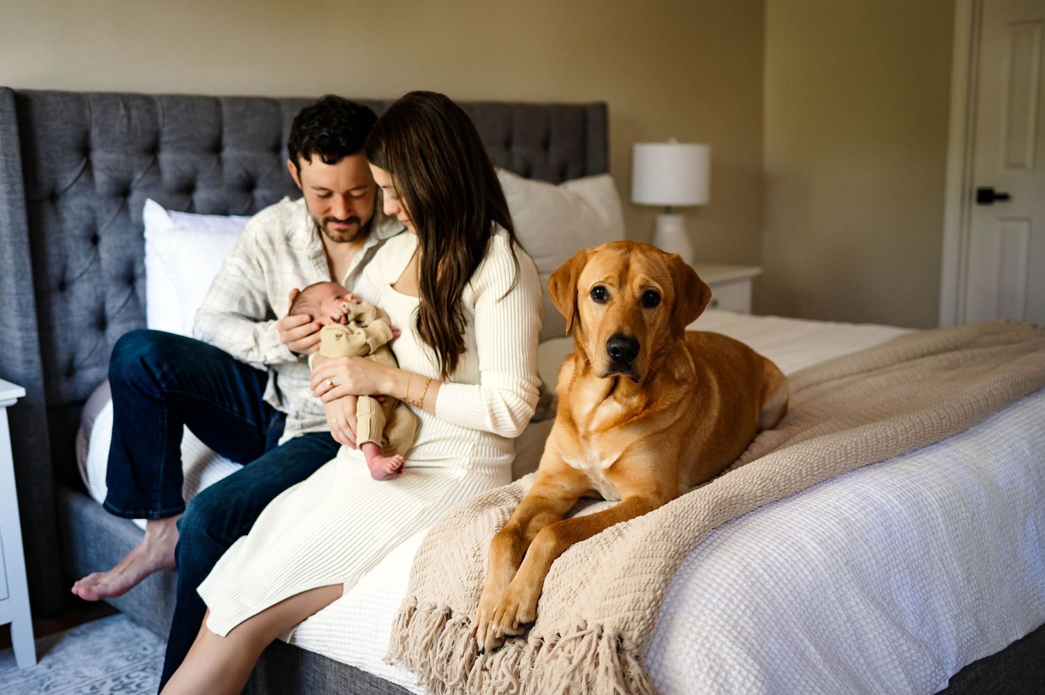 A golden retriever lounges on a bed while loving parents holds their newborn baby in a sunlit bedroom with wake forest newborn photographer