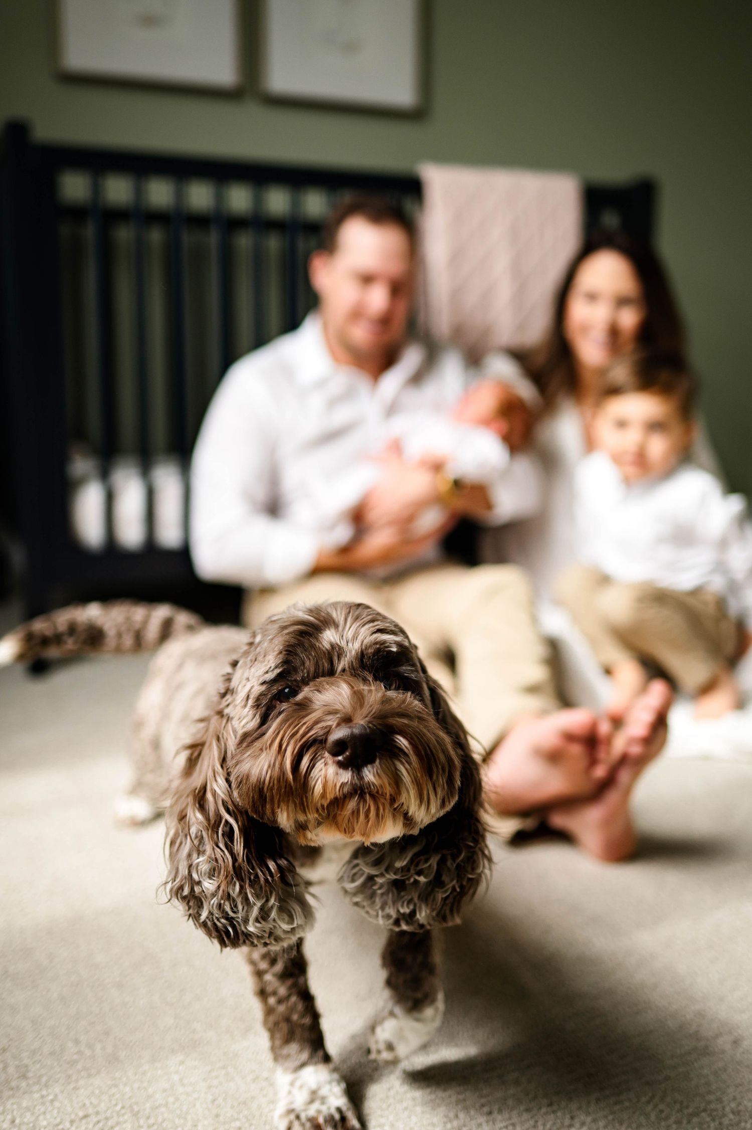 A small brown dog stands in focus while a family relaxes on the floor in nursery in the background with newborn photographer wake forest