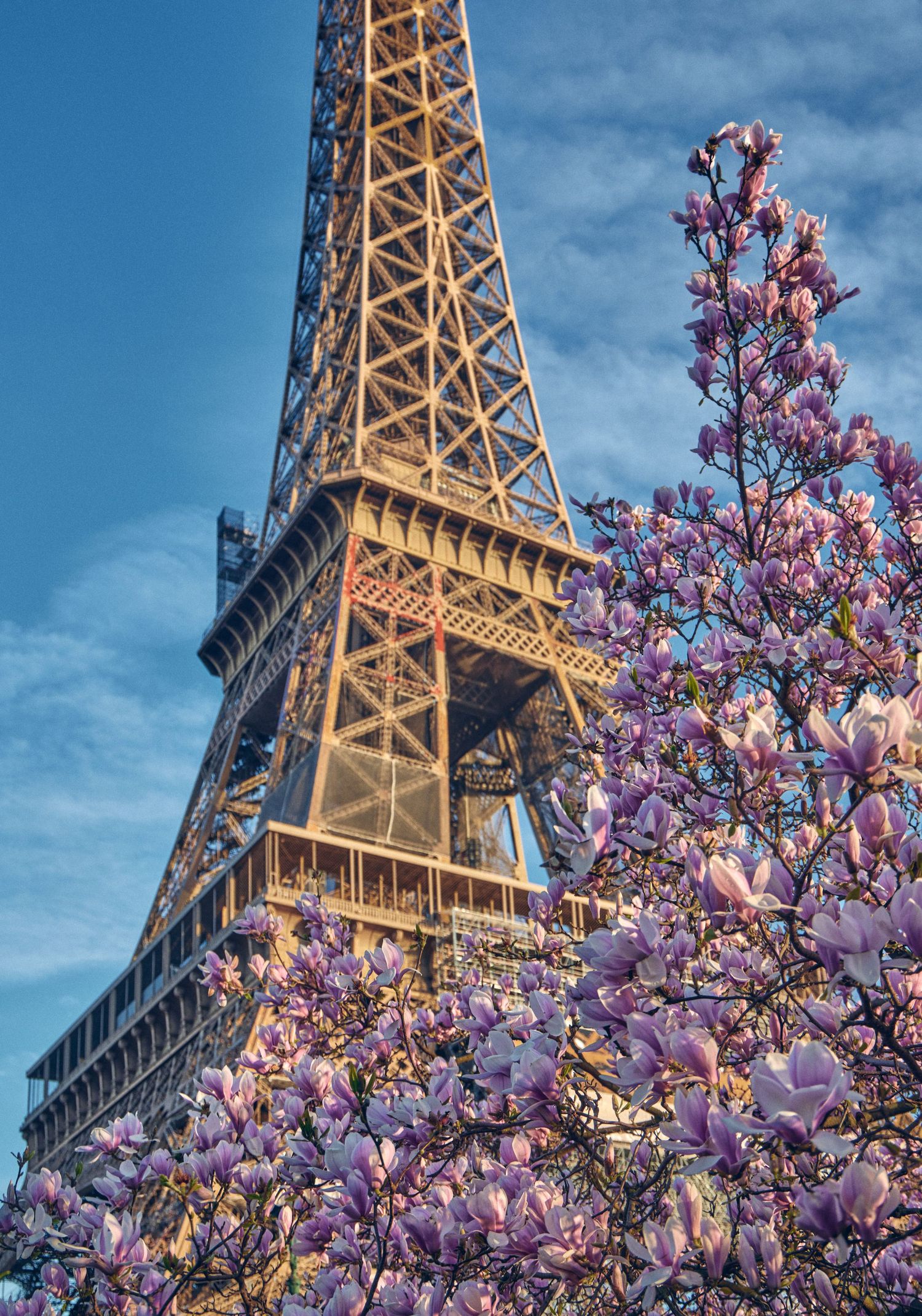 Eiffel Tower