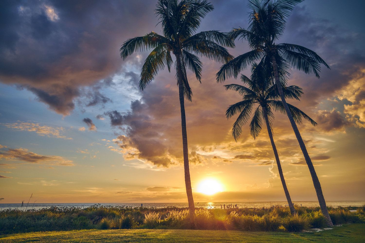 Island Sunset