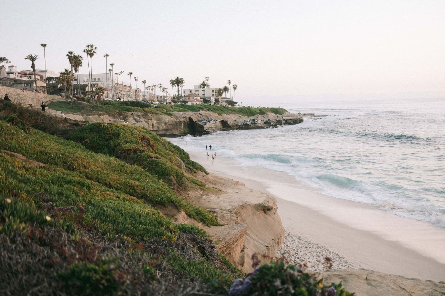 A scenic coastal beach view with palm trees and cliffs overlooking the Pacific Ocean in La Jolla, California.